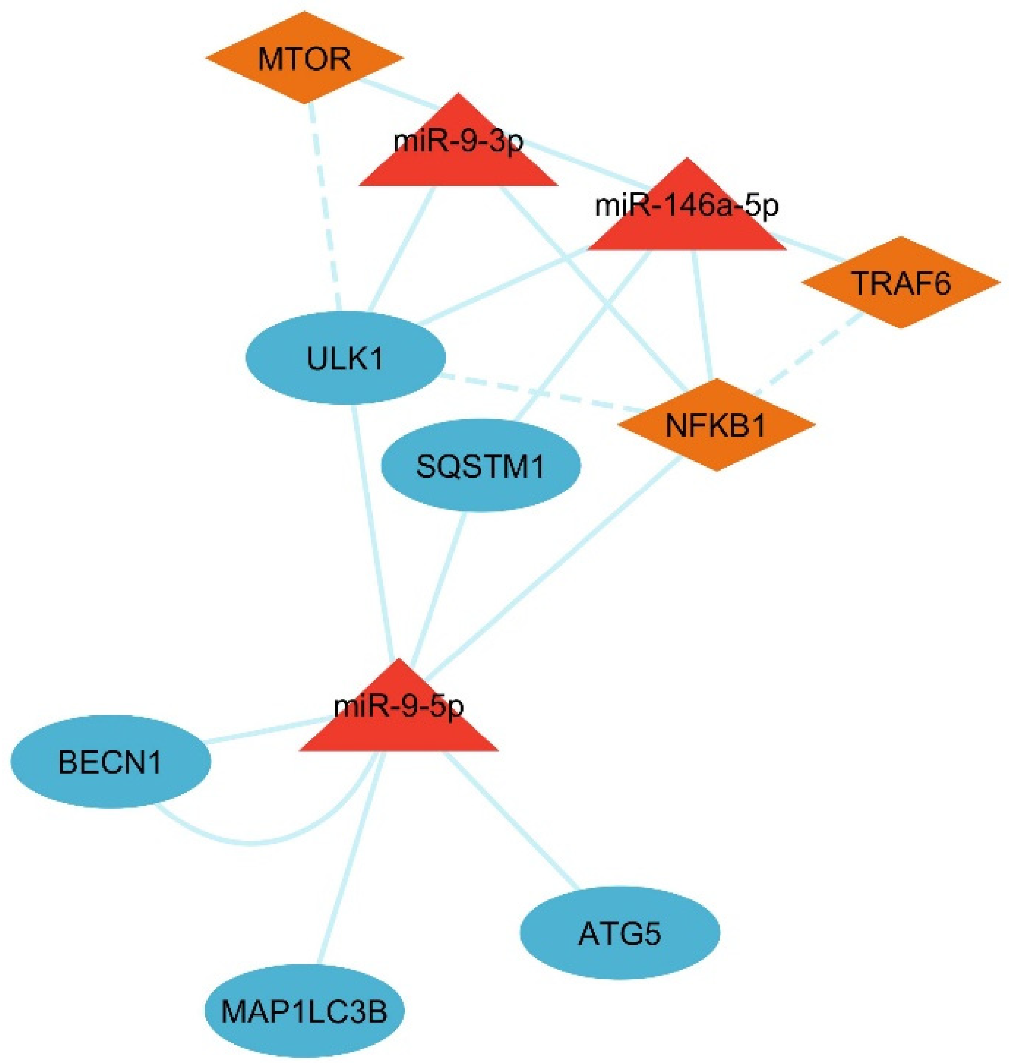 Cells 14 01693 g009 Cells 14 01693 g009