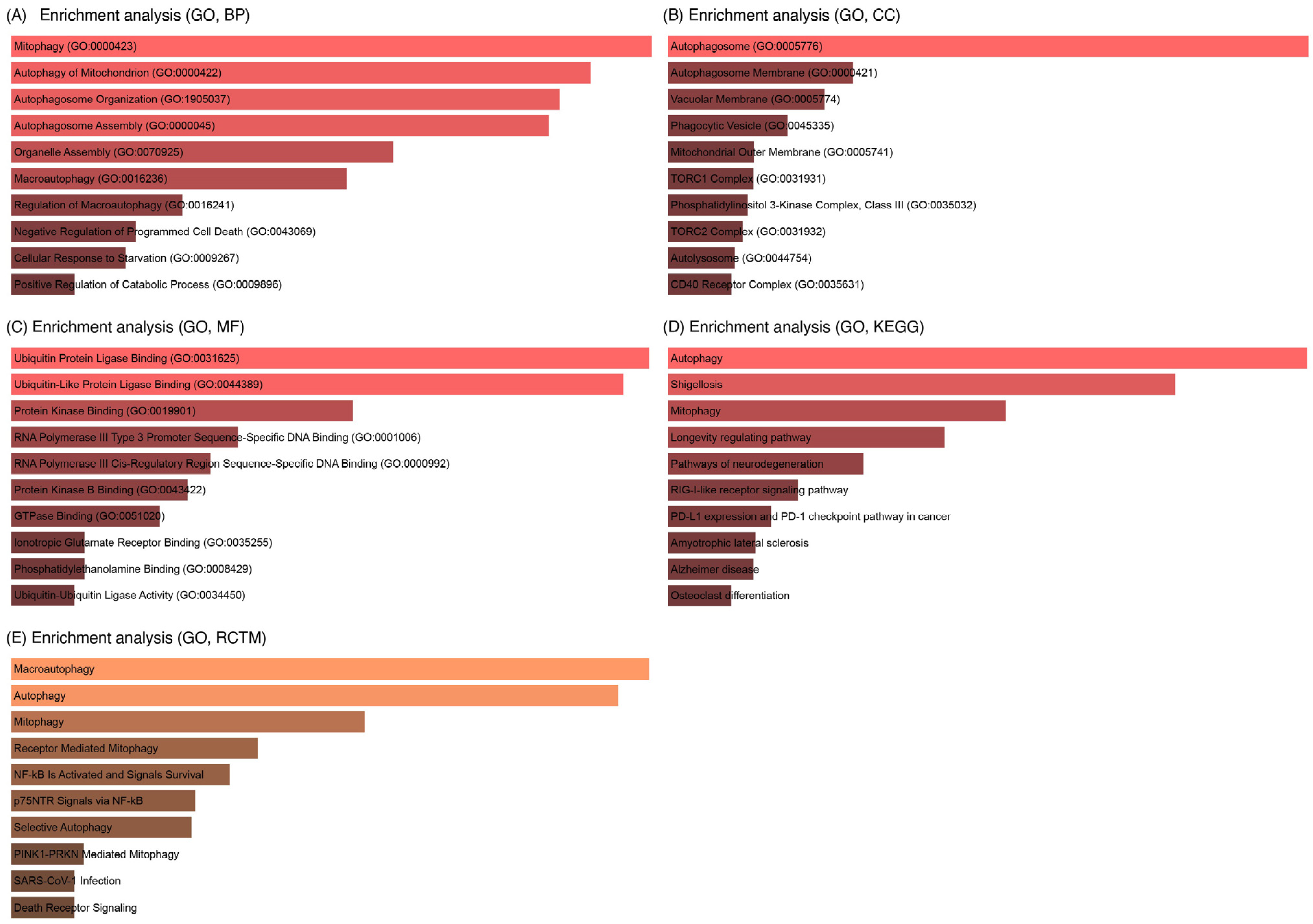 Cells 14 01693 g010 Cells 14 01693 g010