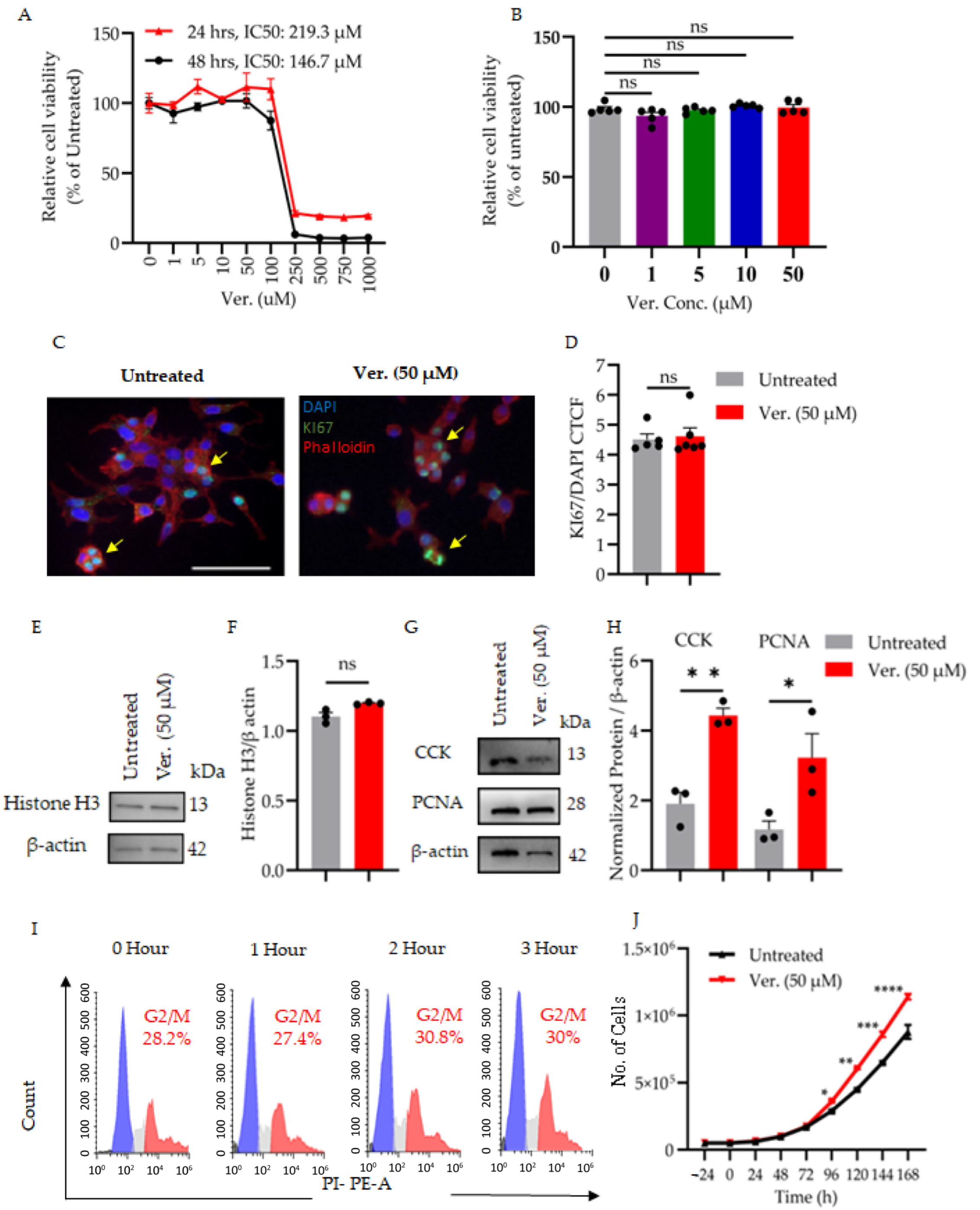 Cells 14 01695 g001 Cells 14 01695 g001