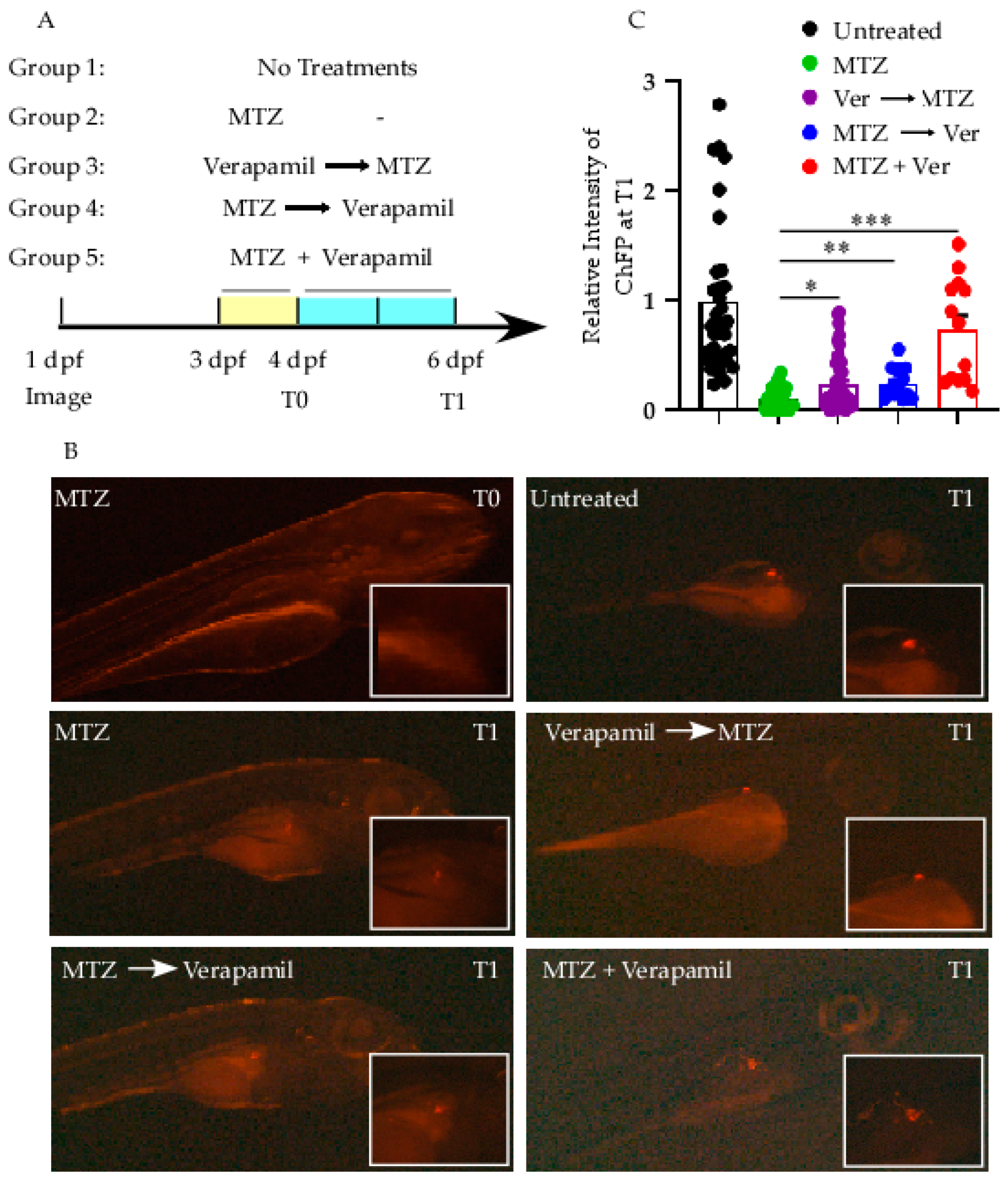 Cells 14 01695 g004 Cells 14 01695 g004