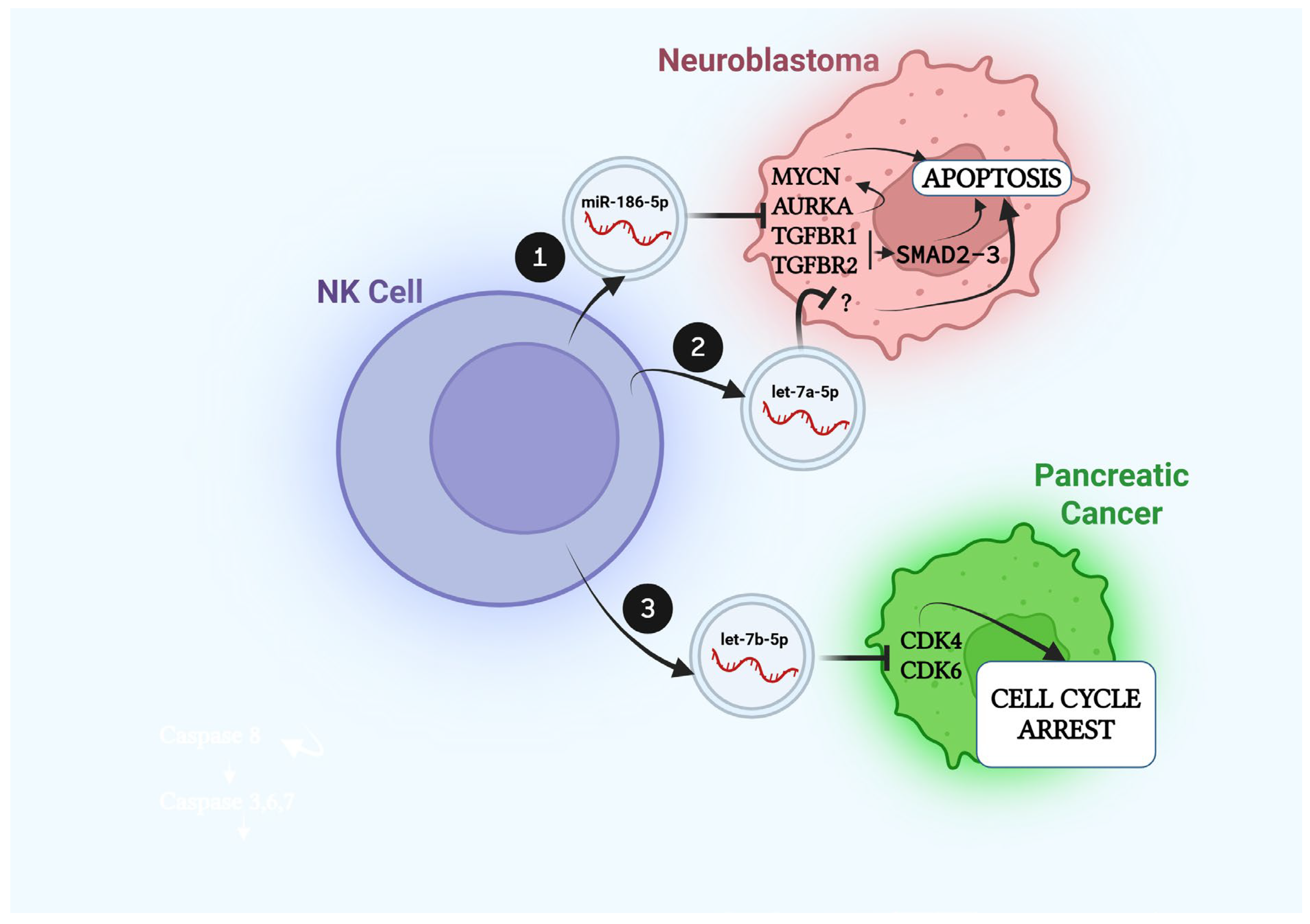 Cells 14 01697 g001 Cells 14 01697 g001