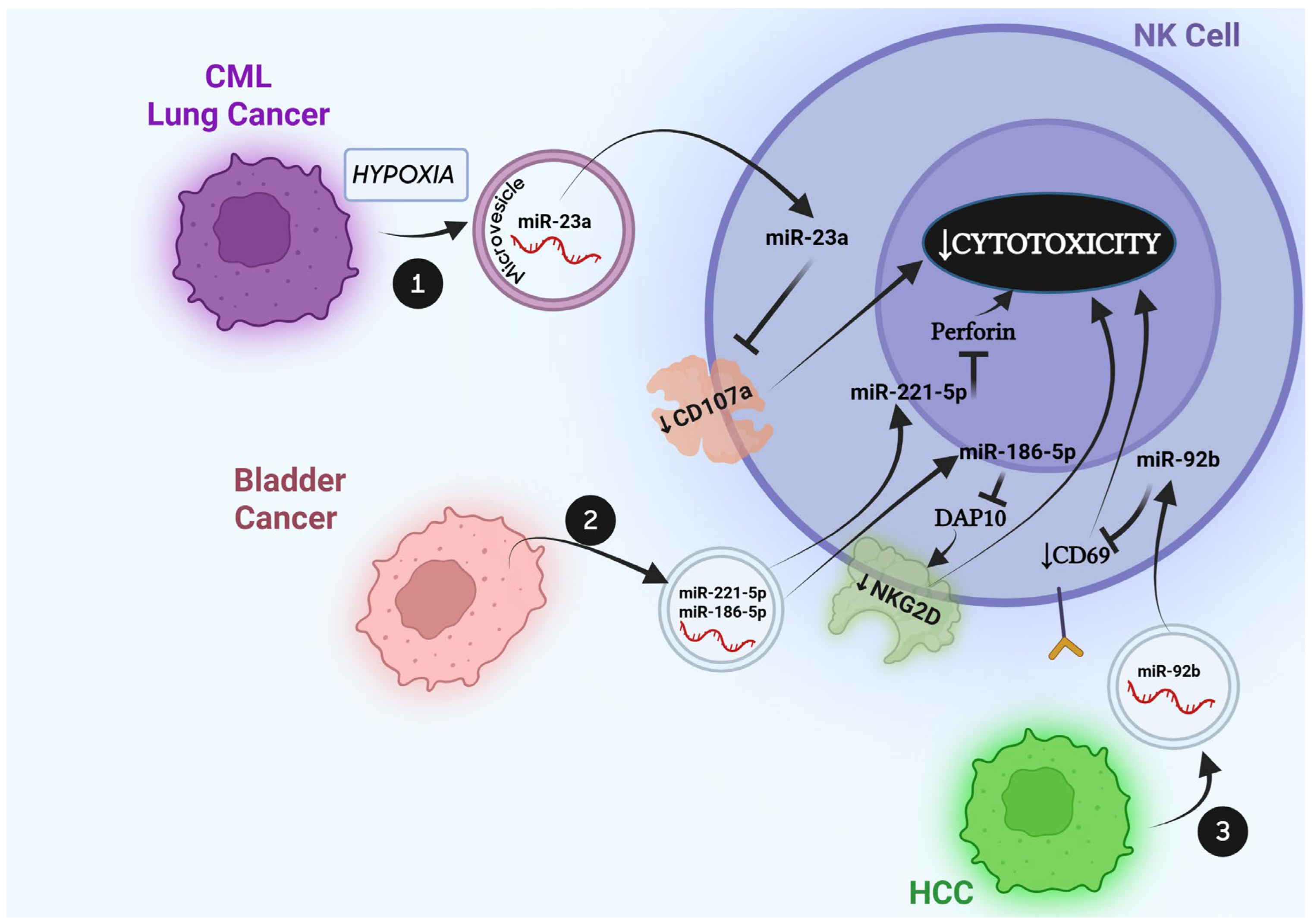 Cells 14 01697 g002 Cells 14 01697 g002