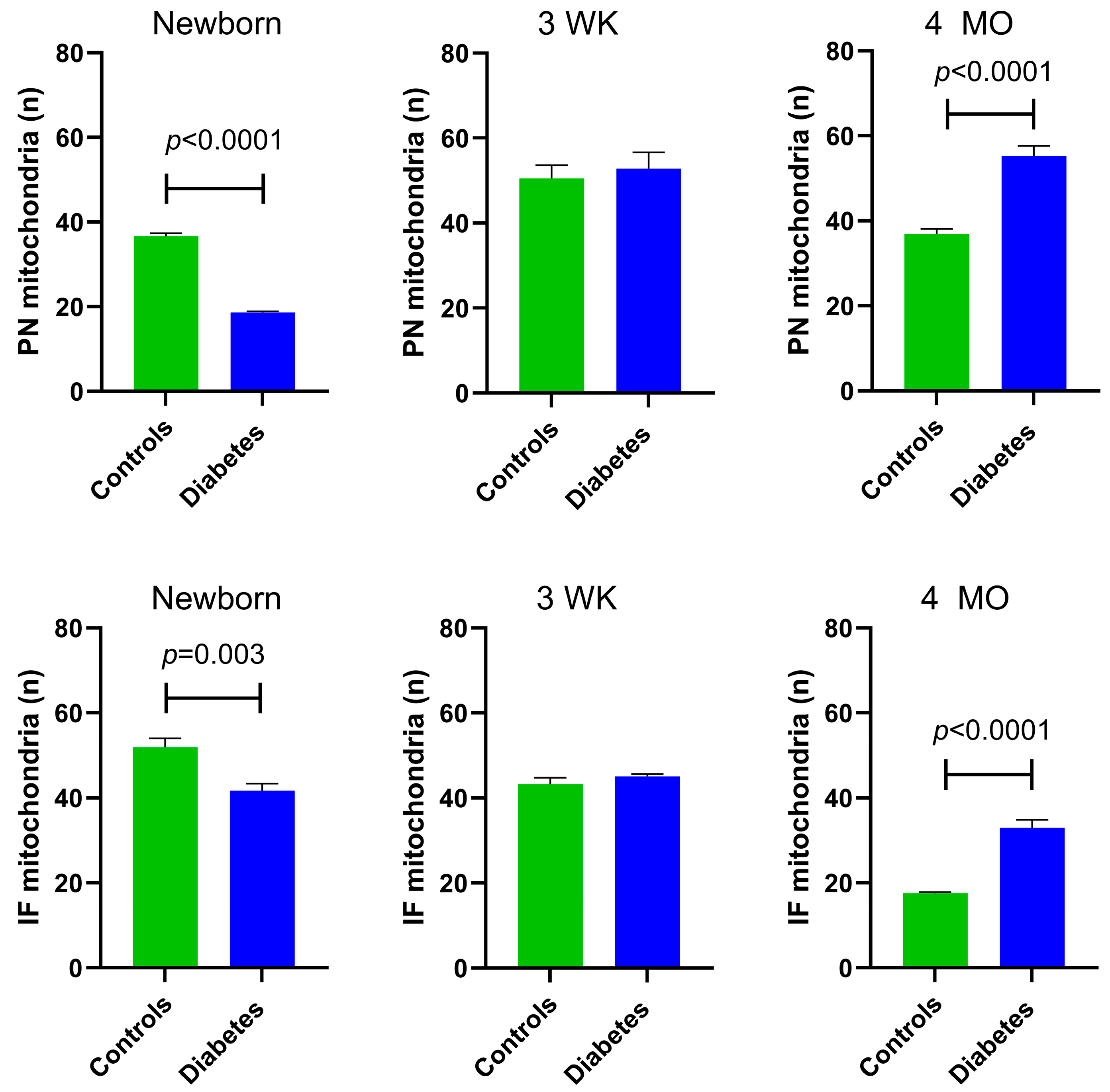 Cells 14 01698 g003 Cells 14 01698 g003