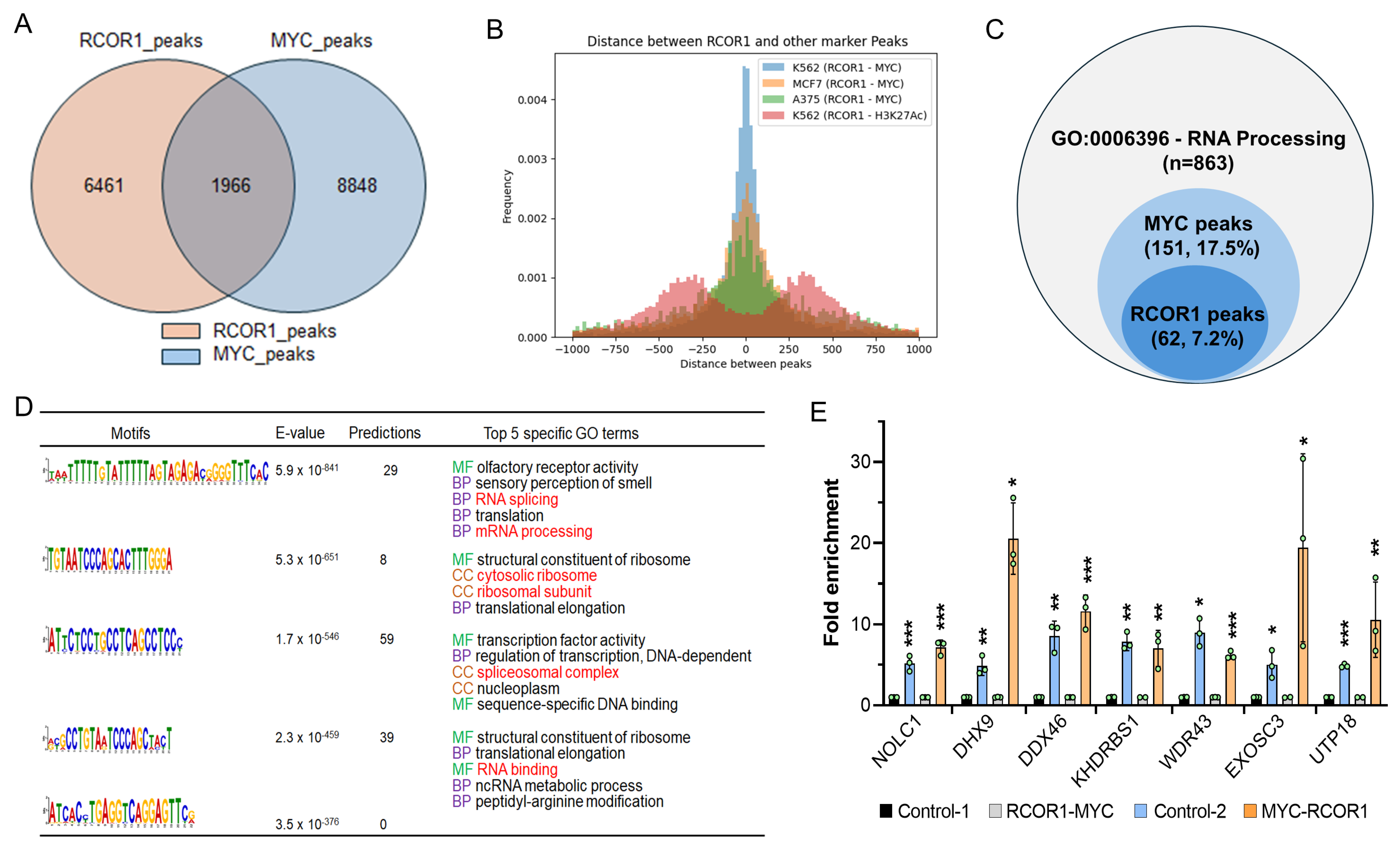 Cells 14 01699 g002 Cells 14 01699 g002