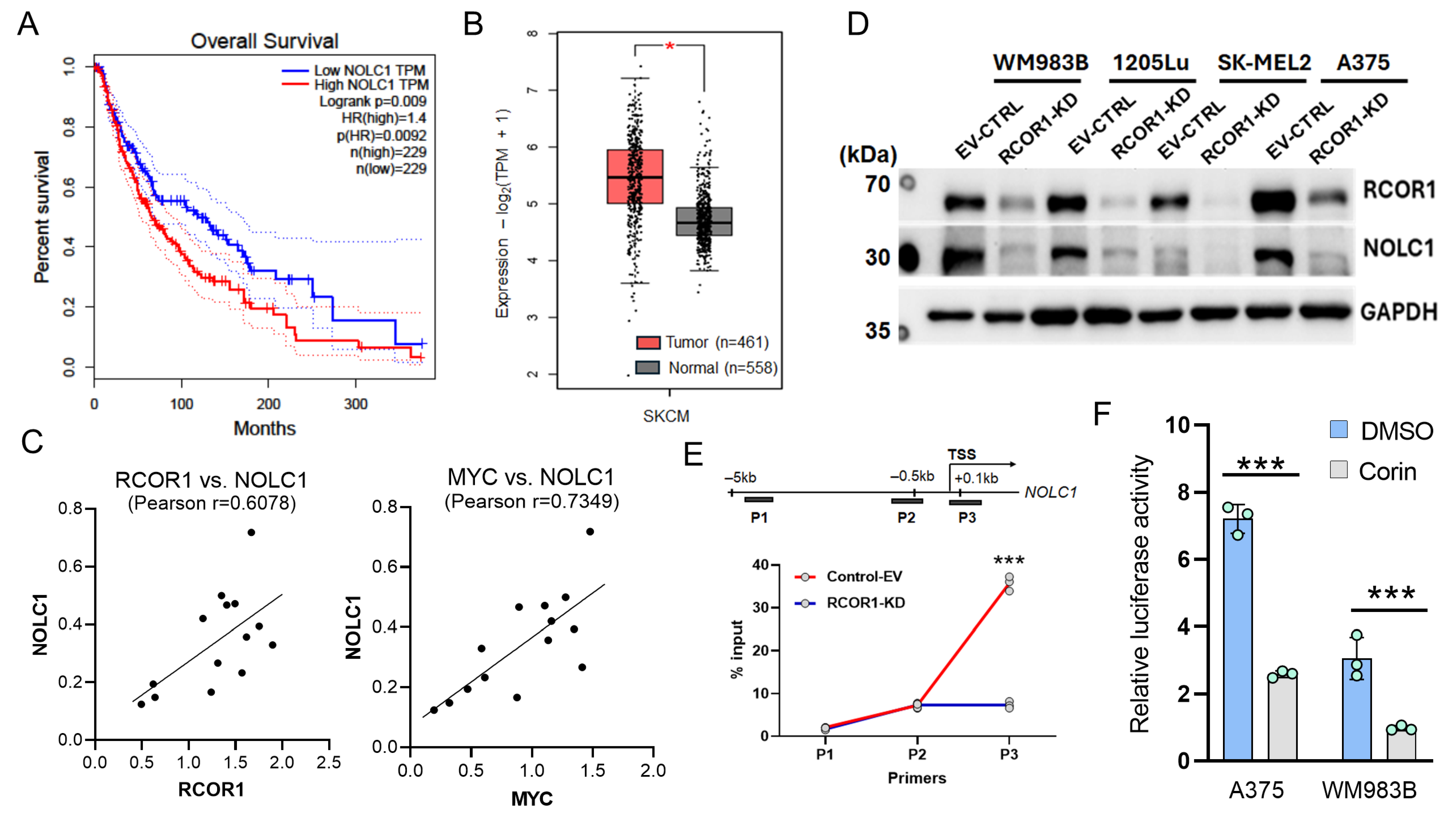Cells 14 01699 g003 Cells 14 01699 g003