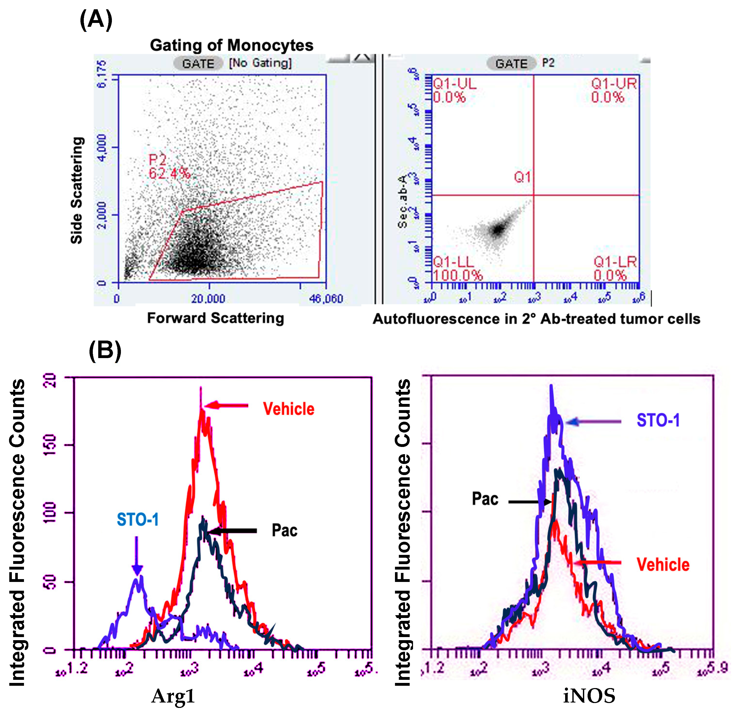 Cells 14 01703 g004a
