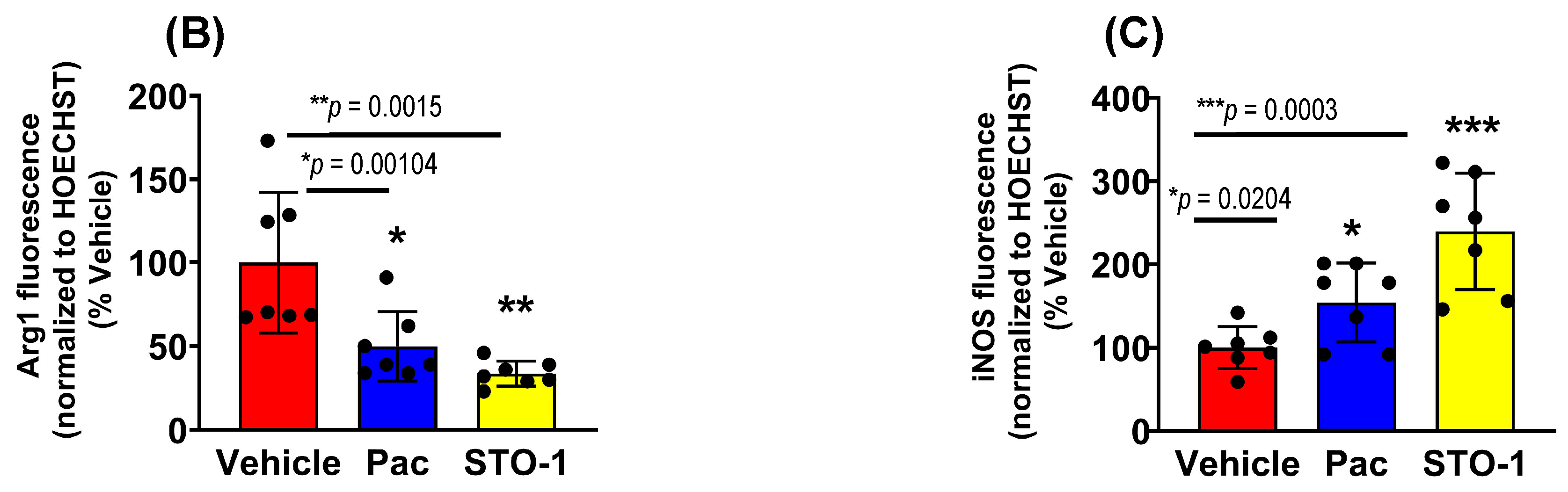 Cells 14 01703 g005b