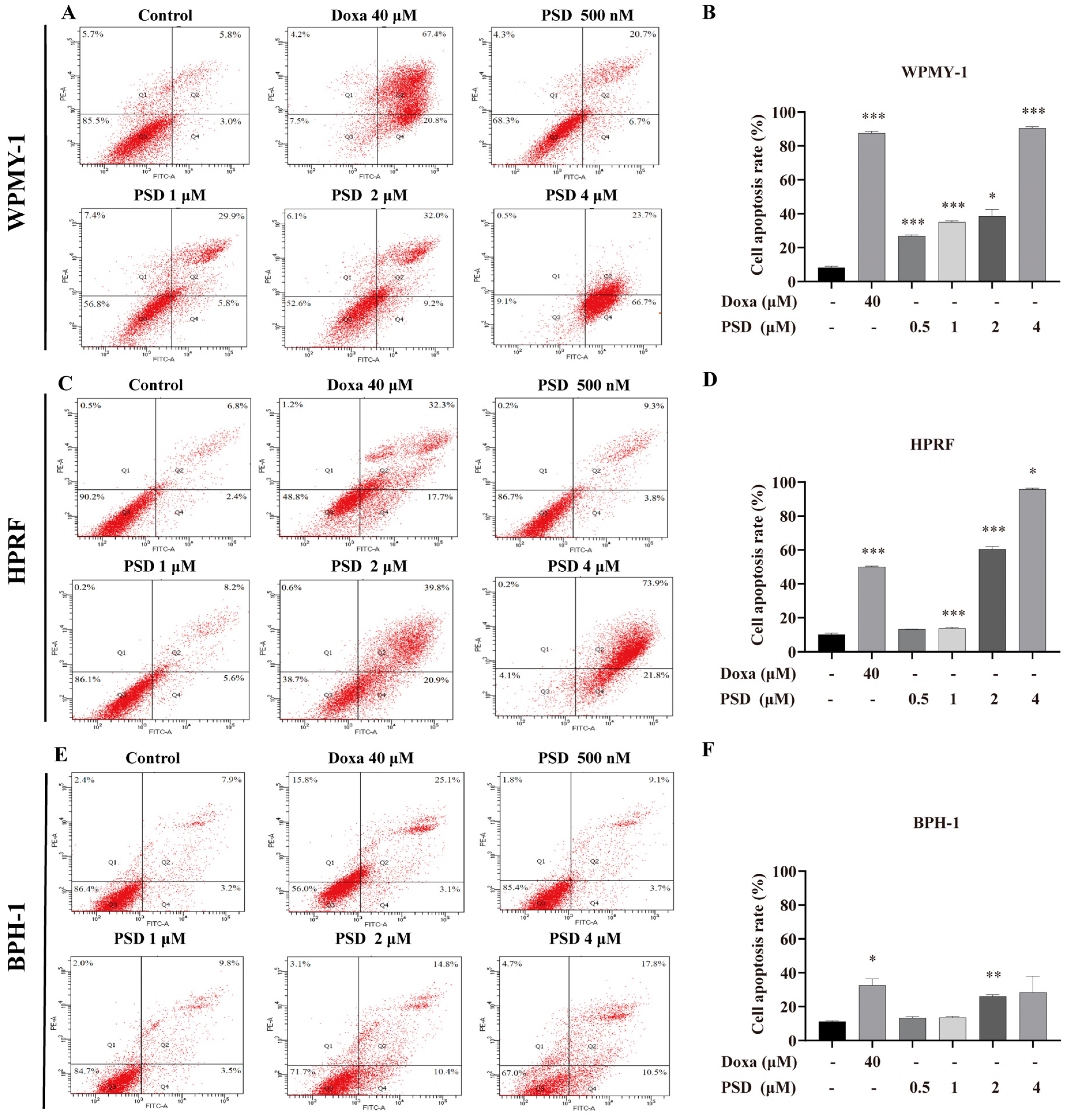 Cells 14 01706 g004 Cells 14 01706 g004