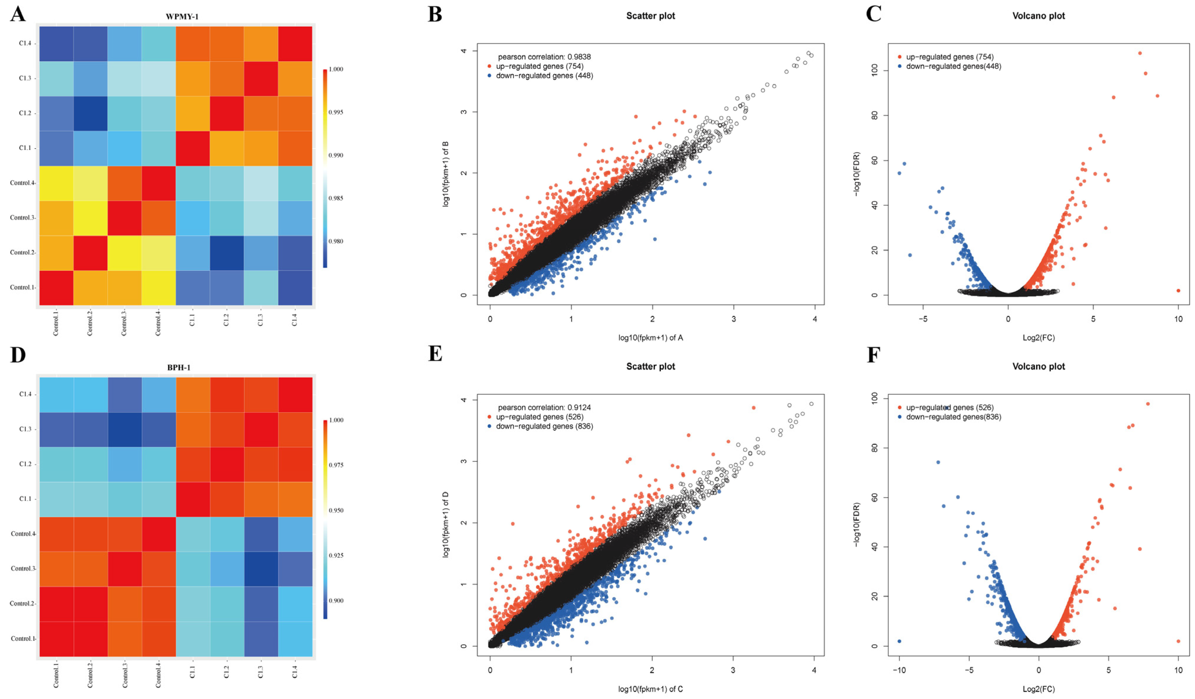 Cells 14 01706 g005 Cells 14 01706 g005