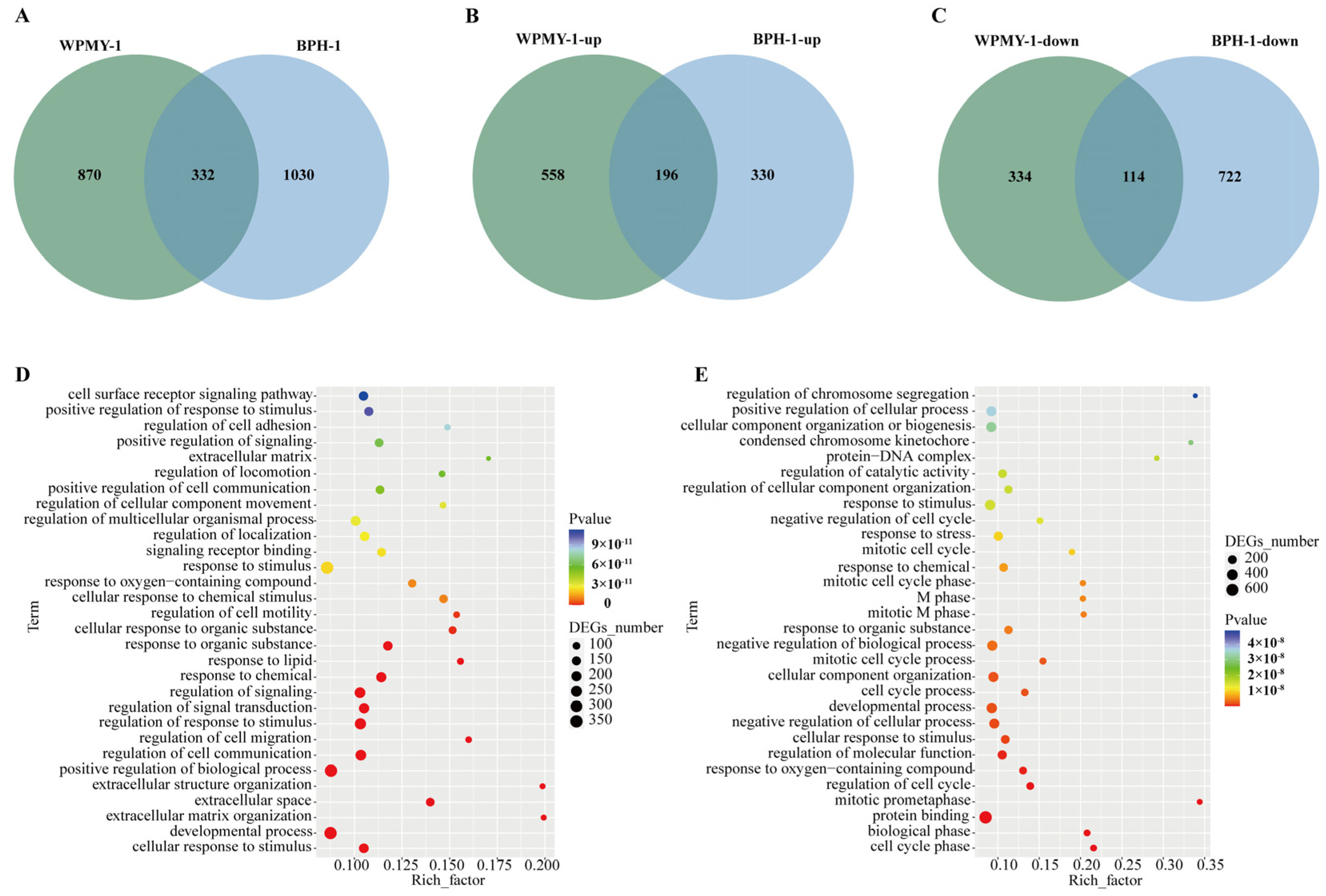 Cells 14 01706 g006 Cells 14 01706 g006