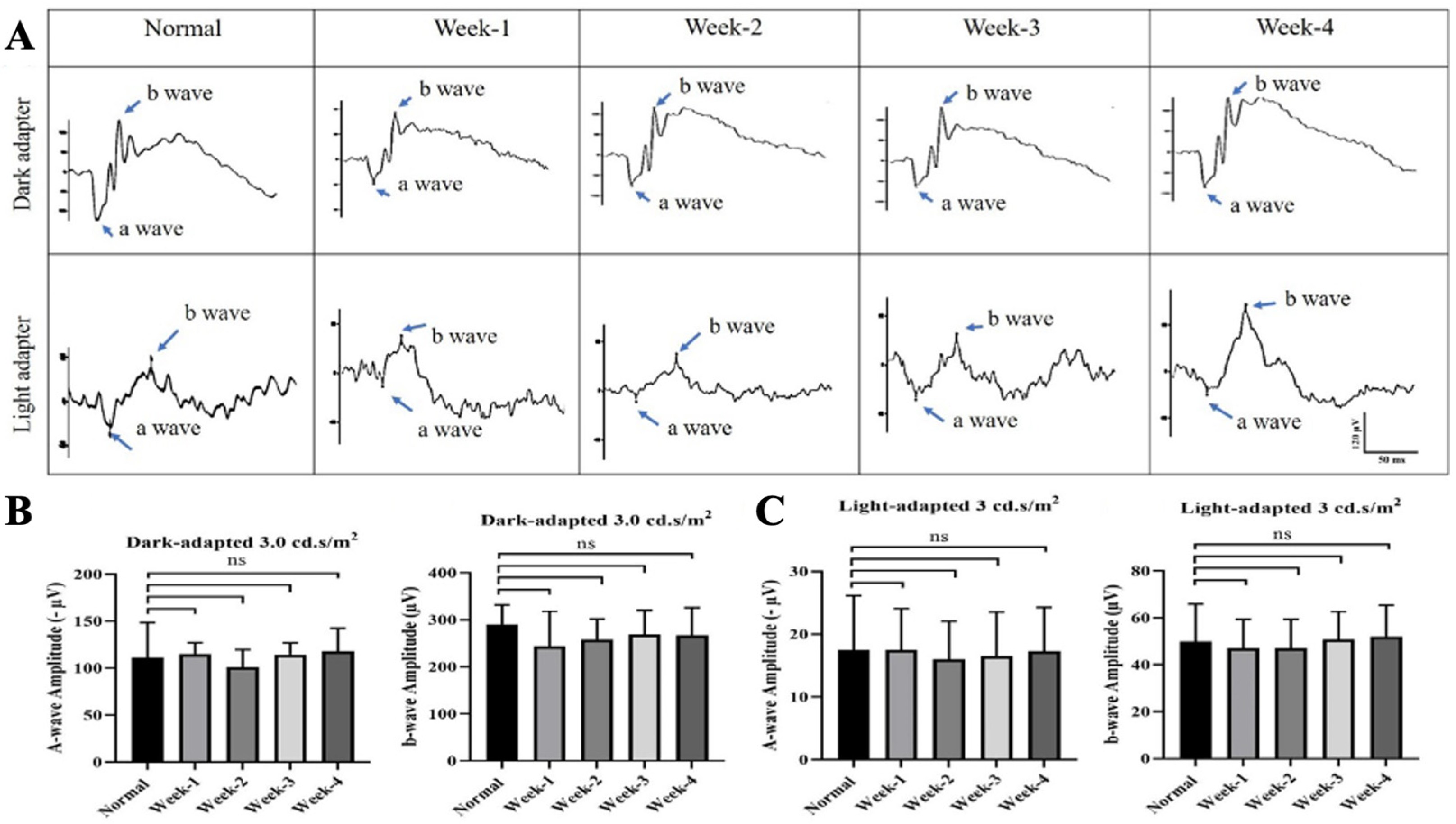 Cells 14 01712 g003 Cells 14 01712 g003