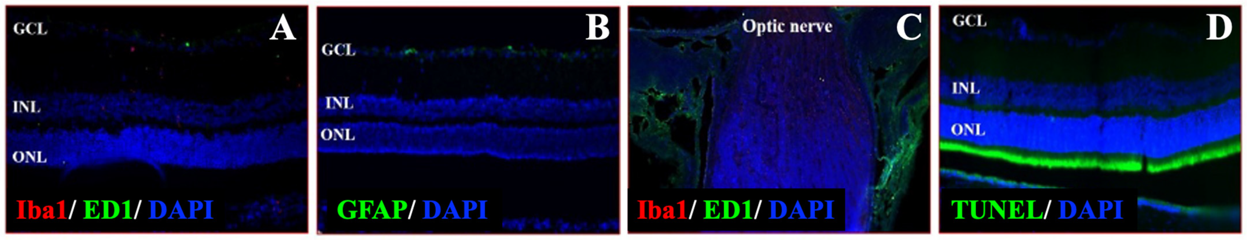 Cells 14 01712 g004 Cells 14 01712 g004
