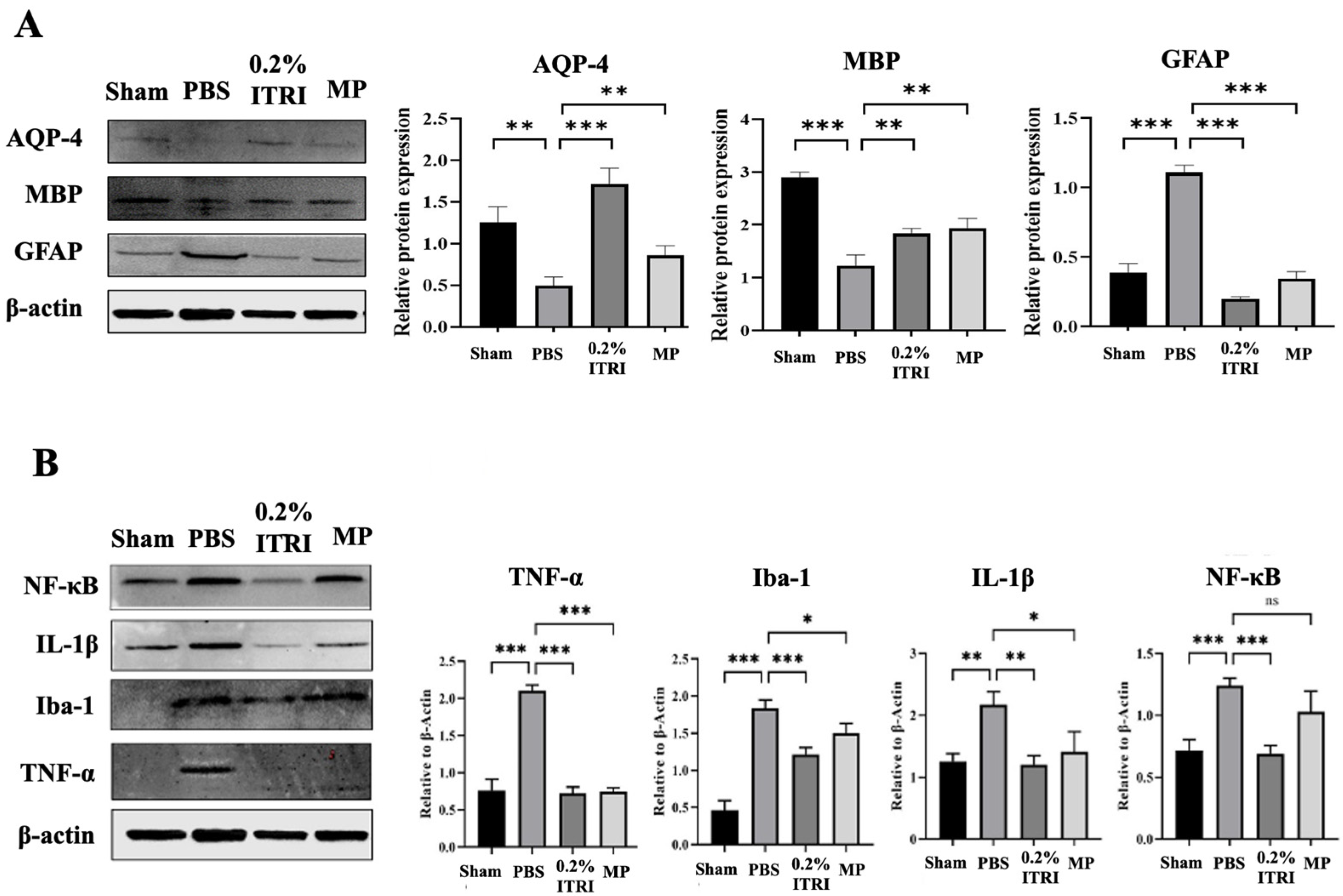 Cells 14 01712 g007 Cells 14 01712 g007