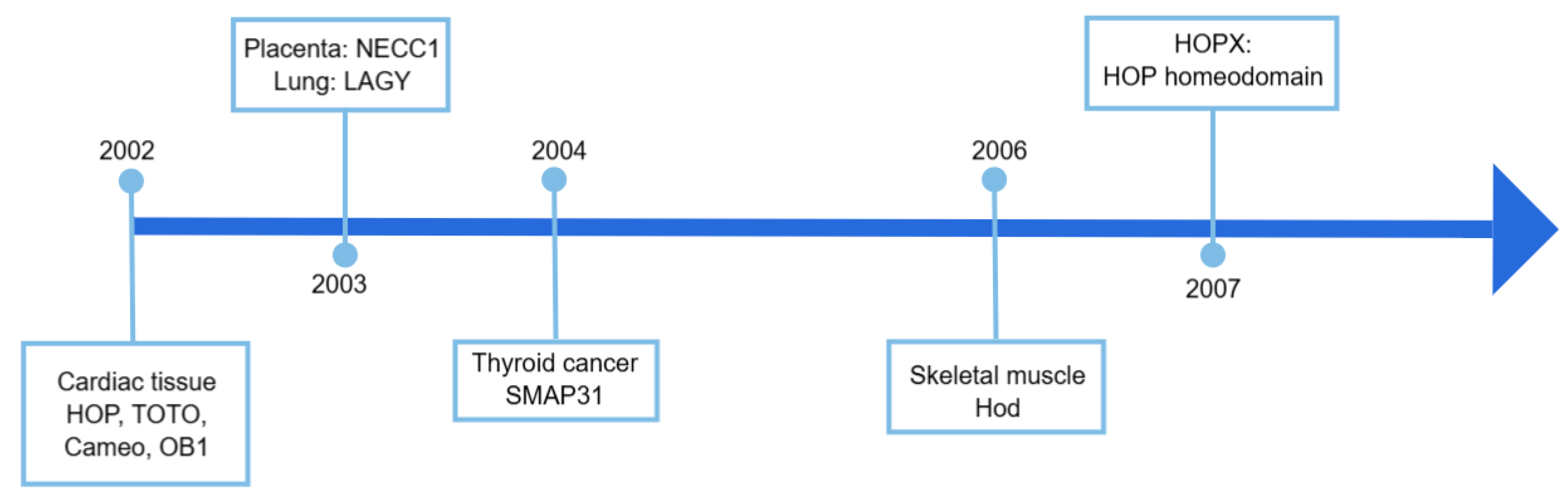 Cells 14 01718 g001 Cells 14 01718 g001