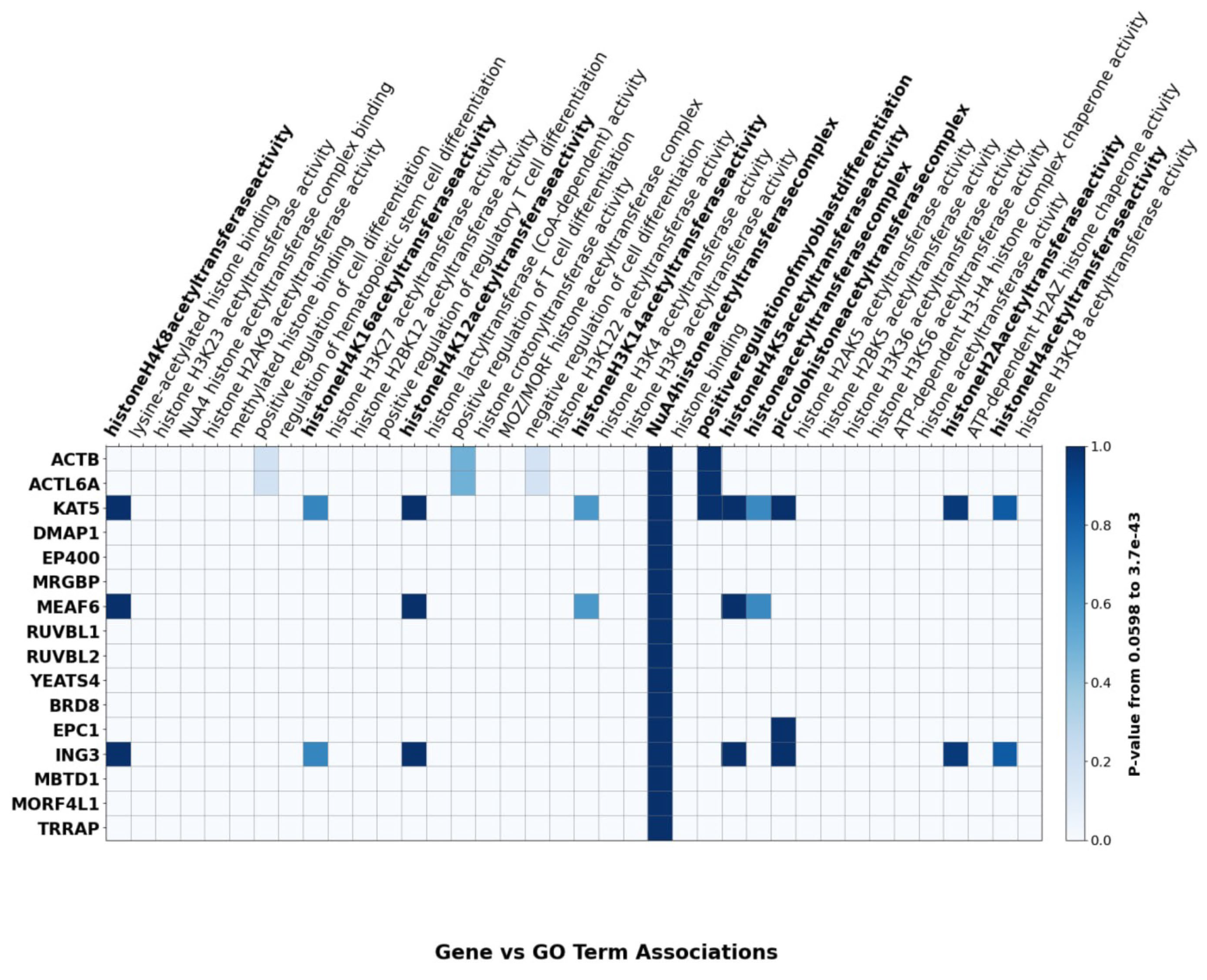 Cells 14 01720 g003 Cells 14 01720 g003