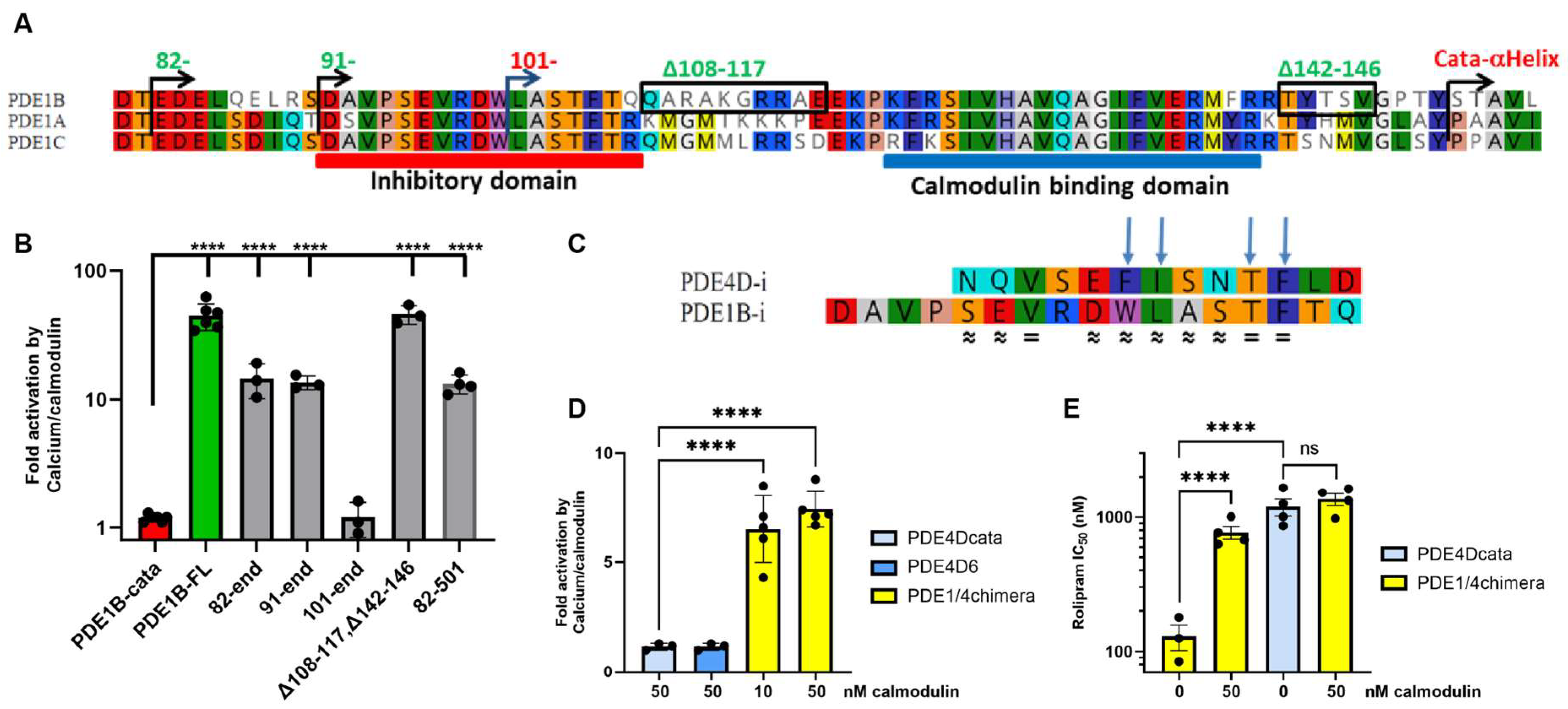 Cells 14 01722 g001 Cells 14 01722 g001