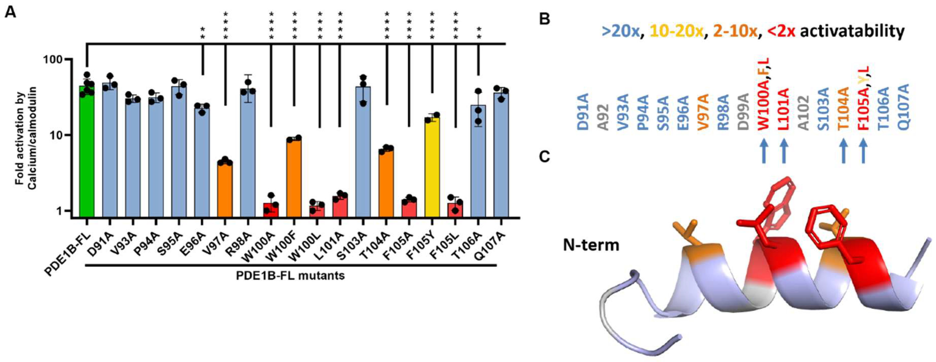 Cells 14 01722 g002 Cells 14 01722 g002
