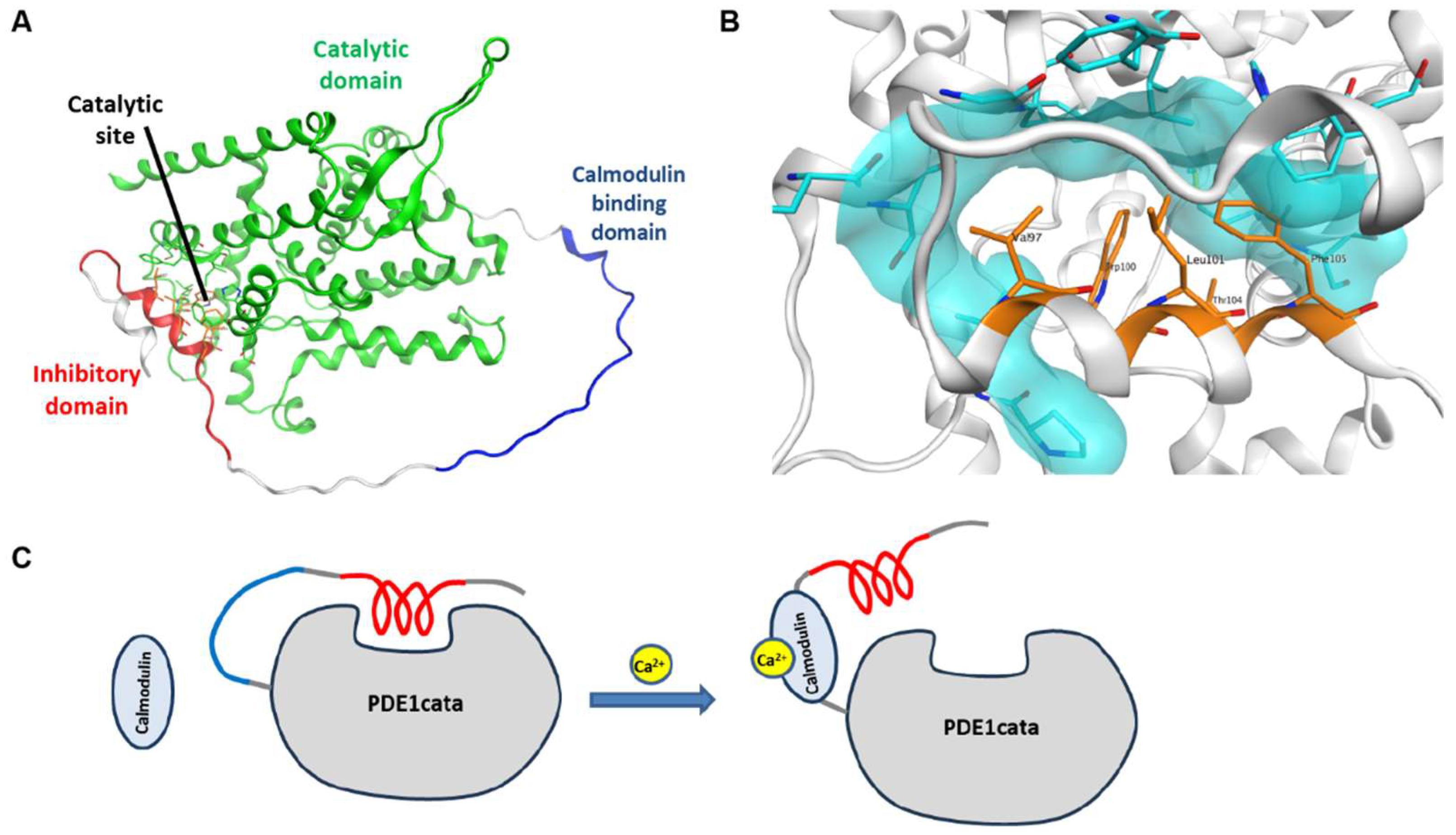 Cells 14 01722 g005 Cells 14 01722 g005