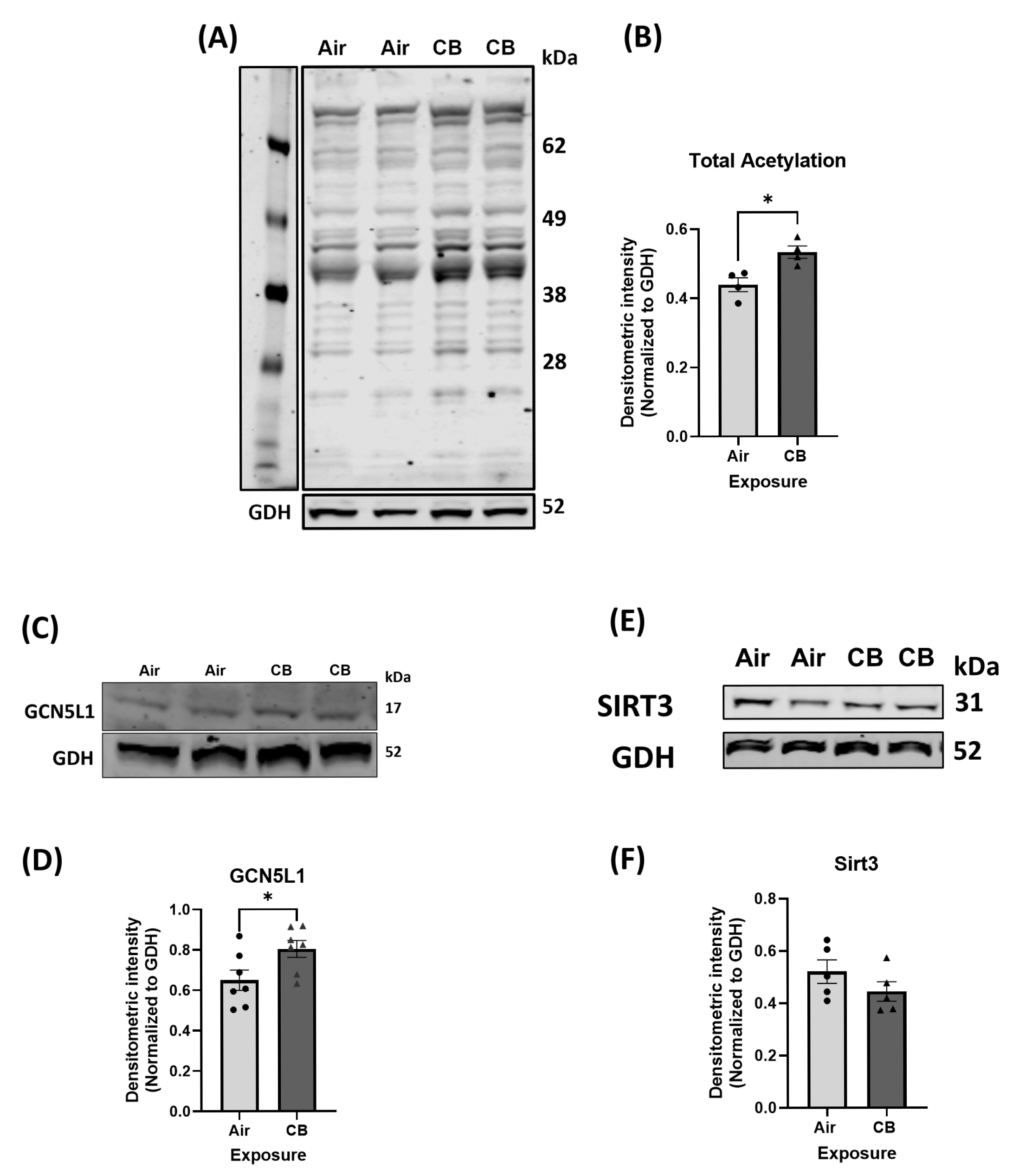 Cells 14 01728 g001 Cells 14 01728 g001
