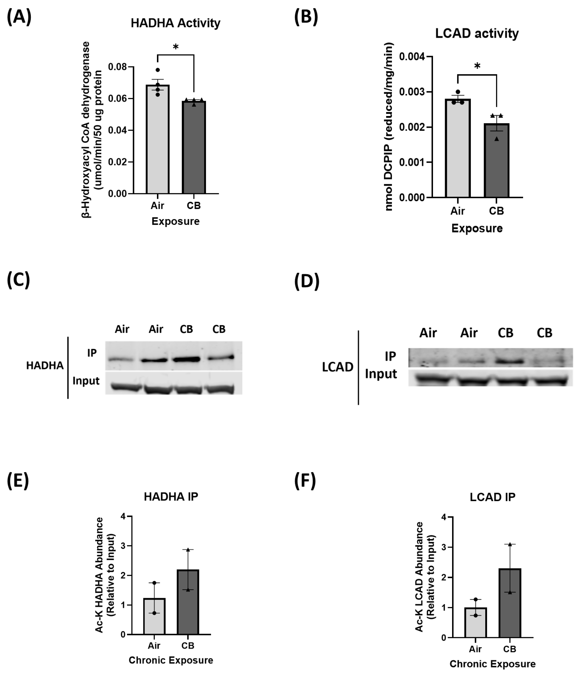 Cells 14 01728 g002 Cells 14 01728 g002