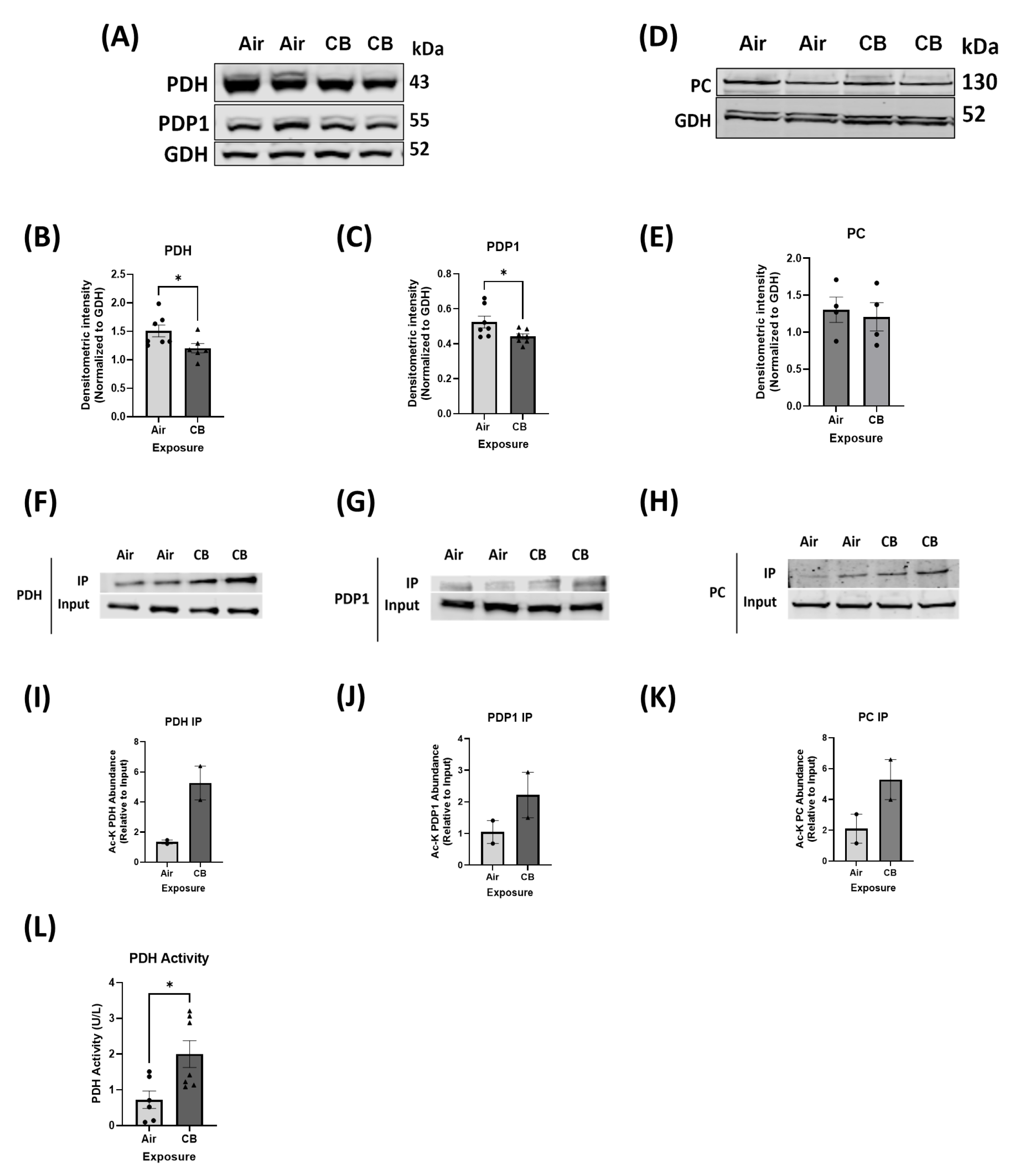 Cells 14 01728 g003 Cells 14 01728 g003