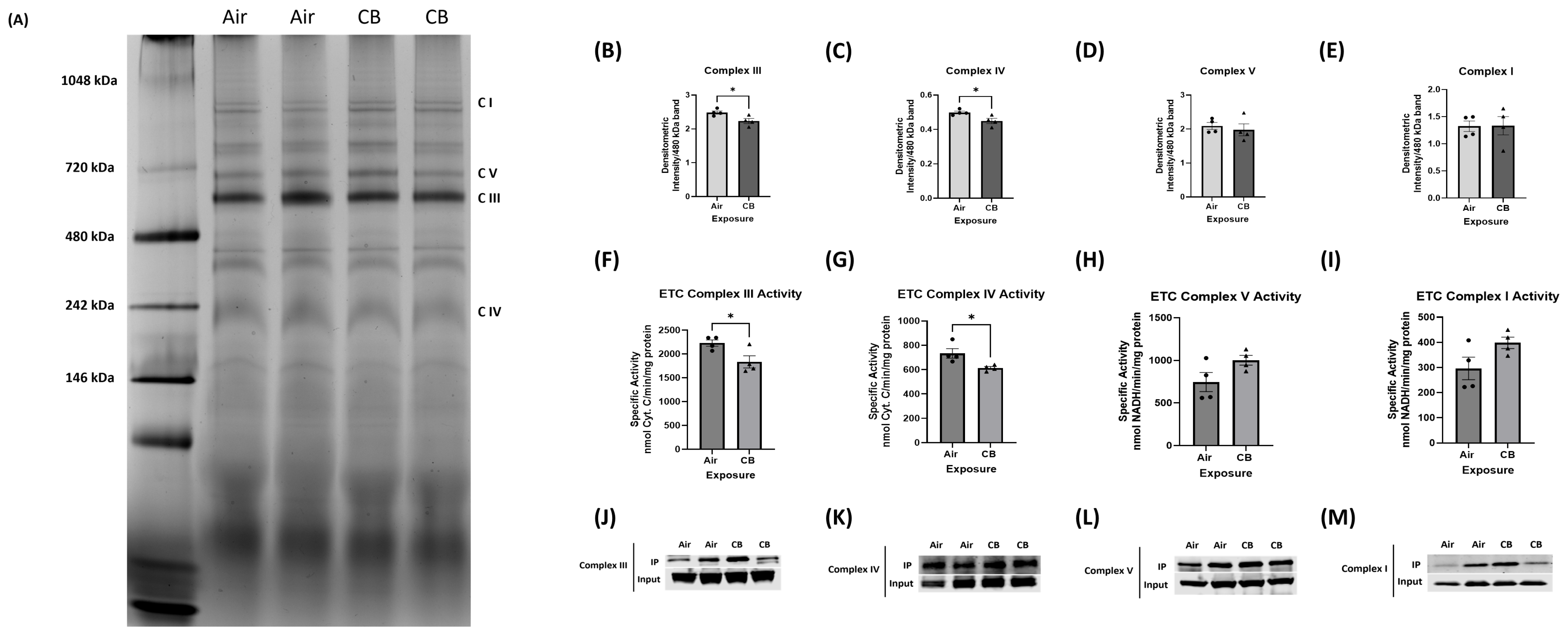 Cells 14 01728 g004 Cells 14 01728 g004