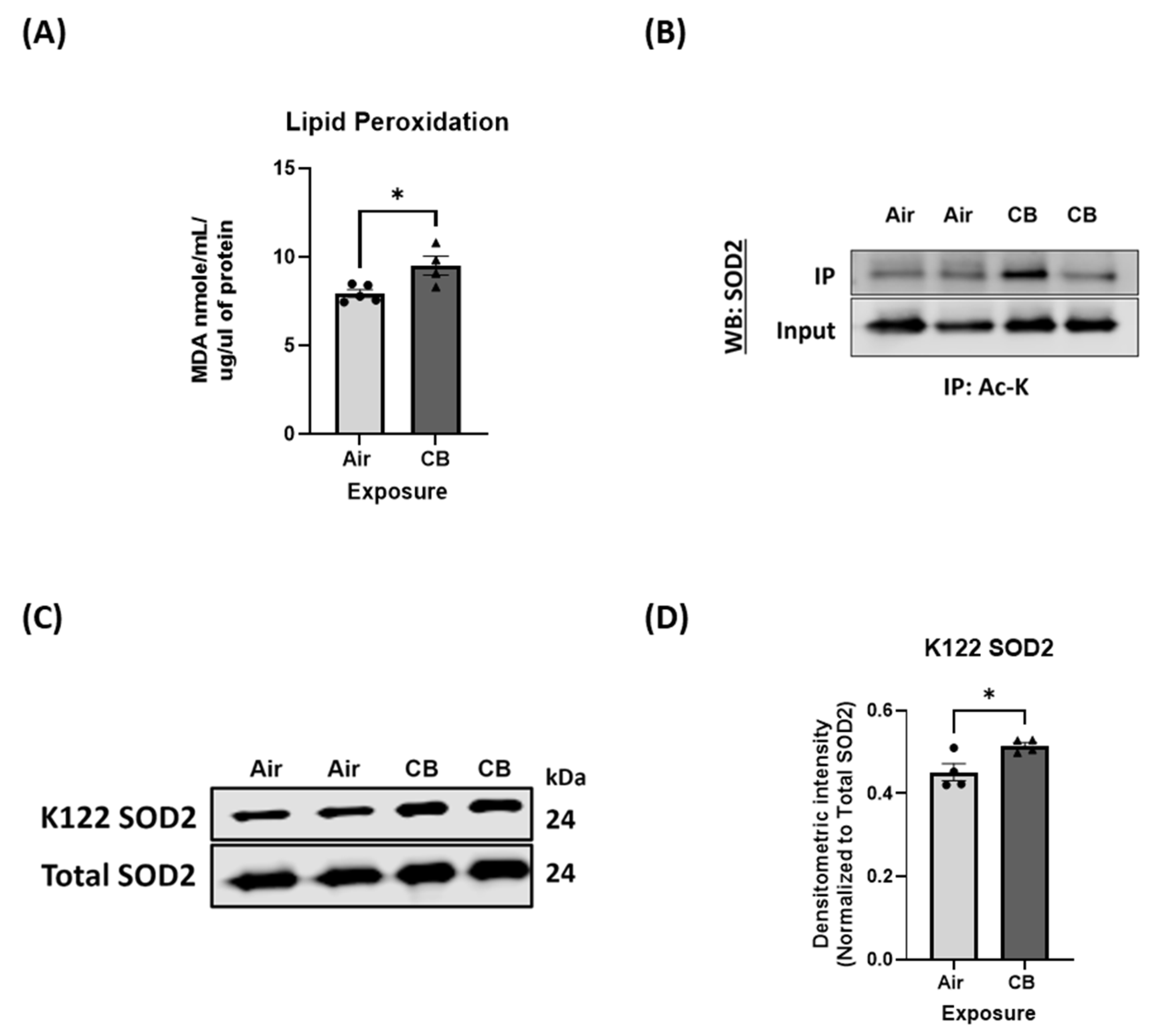 Cells 14 01728 g005 Cells 14 01728 g005