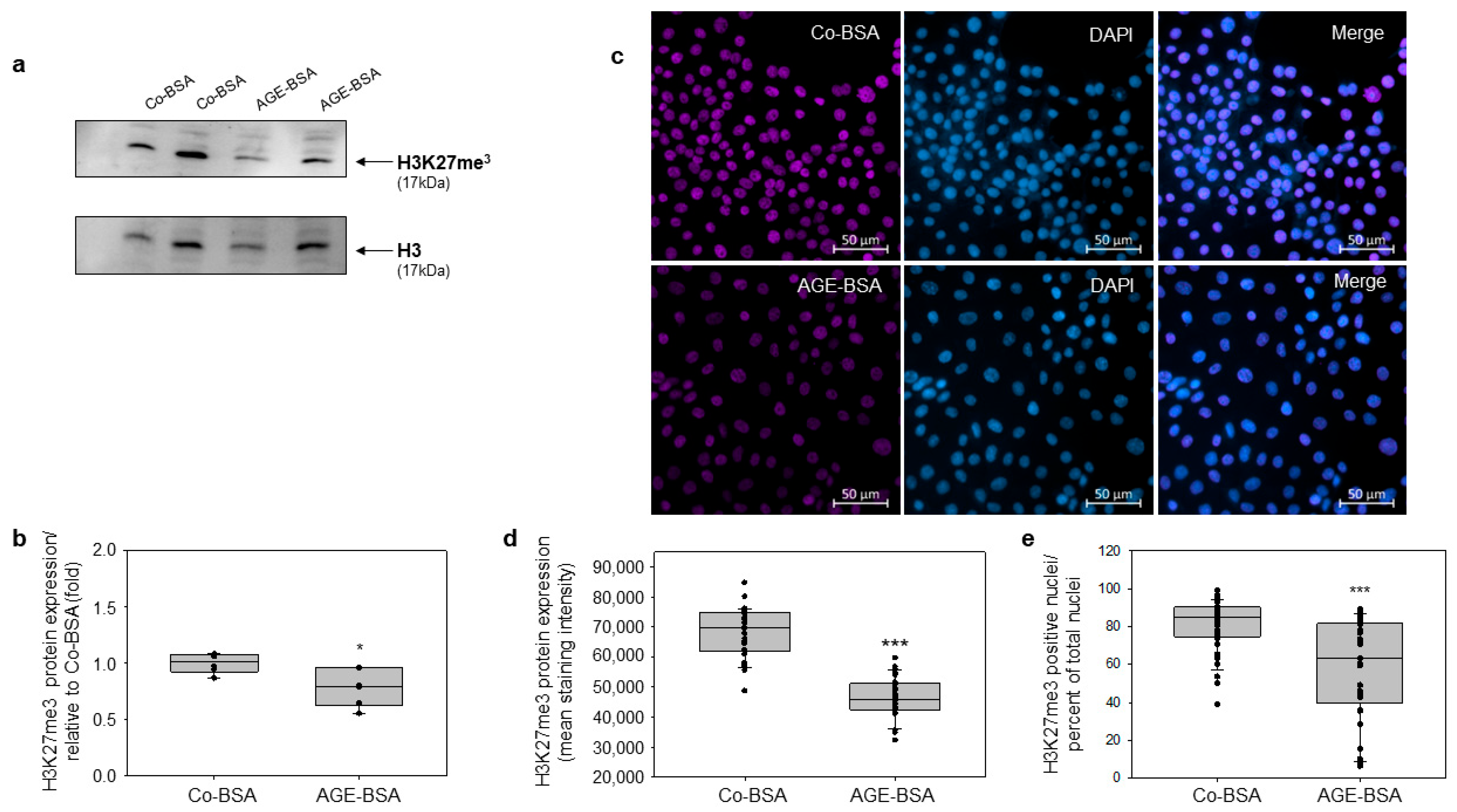 Cells 14 01729 g003 Cells 14 01729 g003
