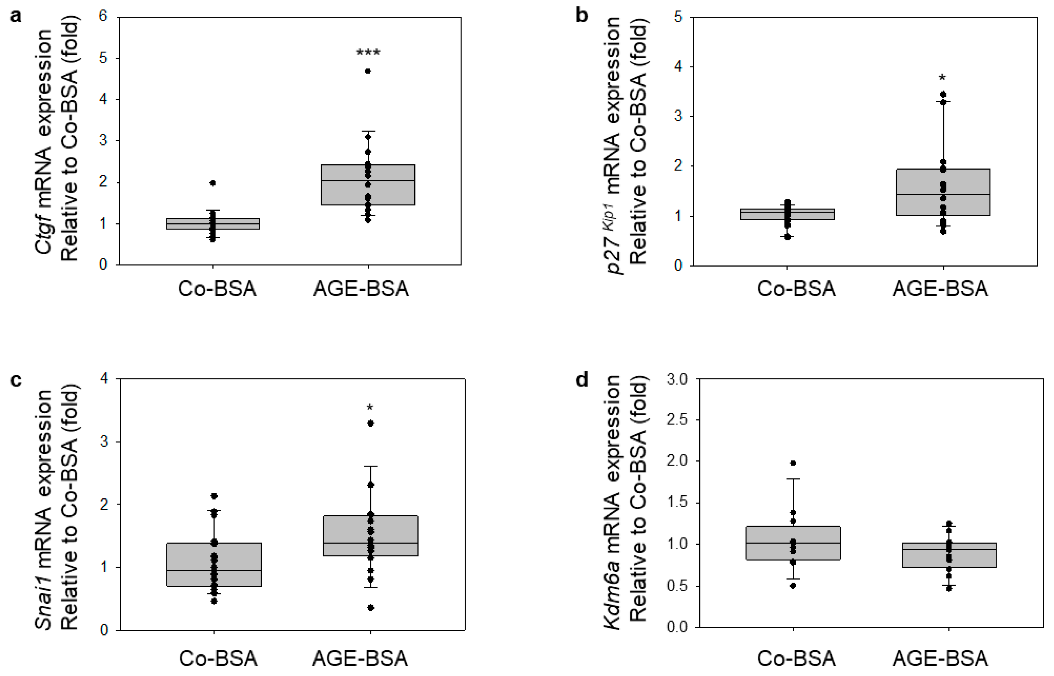 Cells 14 01729 g005 Cells 14 01729 g005
