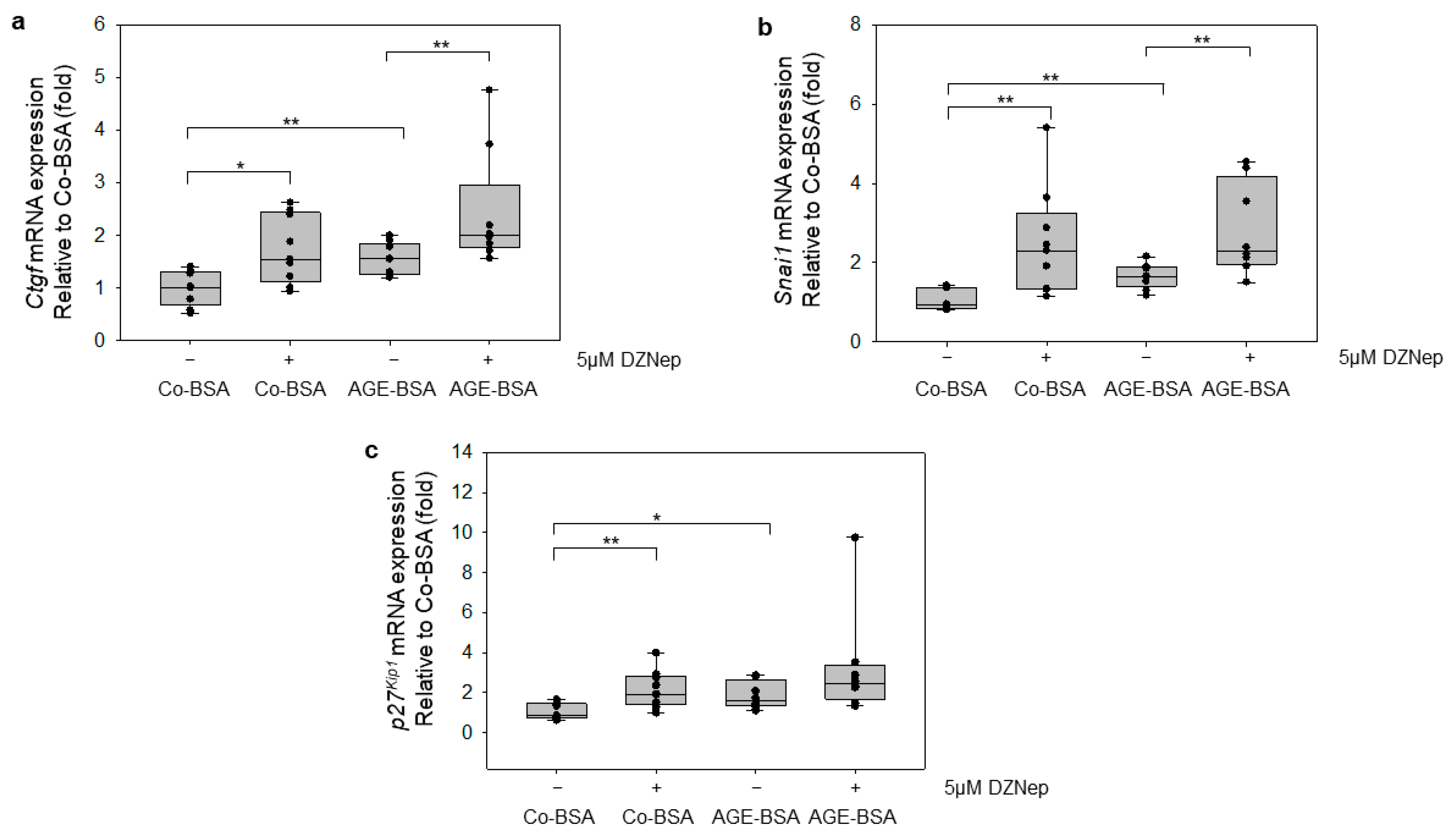Cells 14 01729 g007 Cells 14 01729 g007