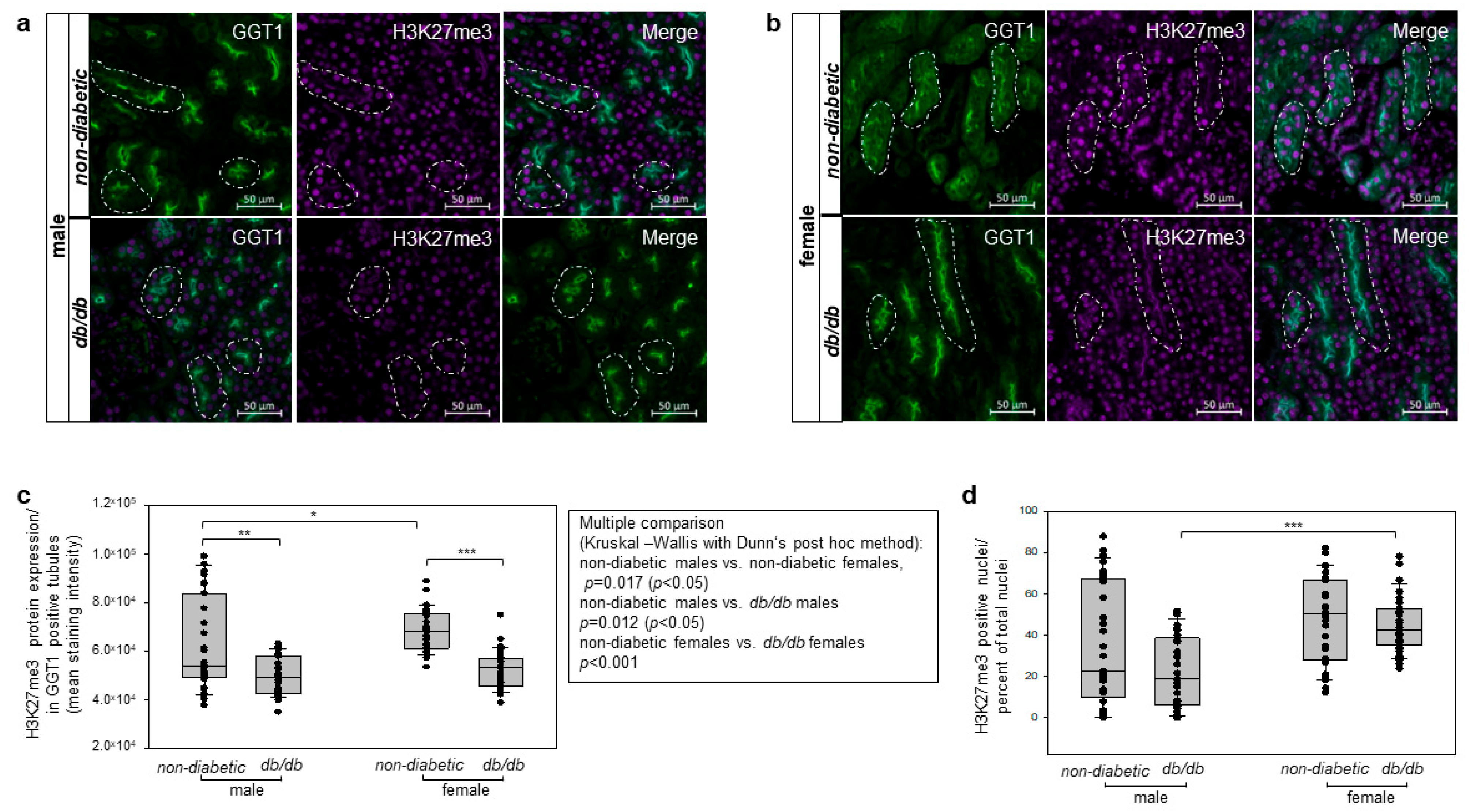 Cells 14 01729 g009 Cells 14 01729 g009
