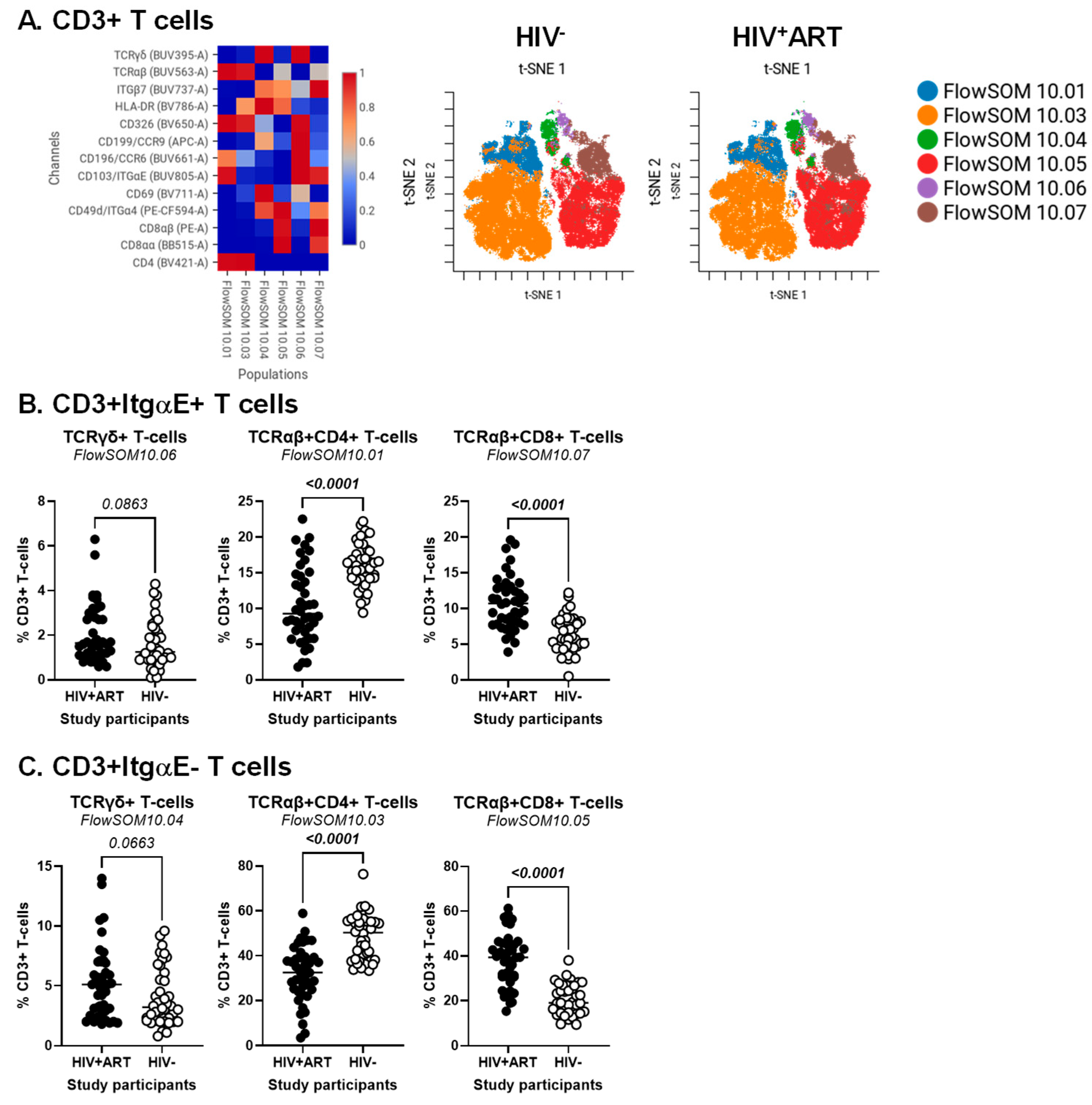 Cells 14 01732 g001 Cells 14 01732 g001