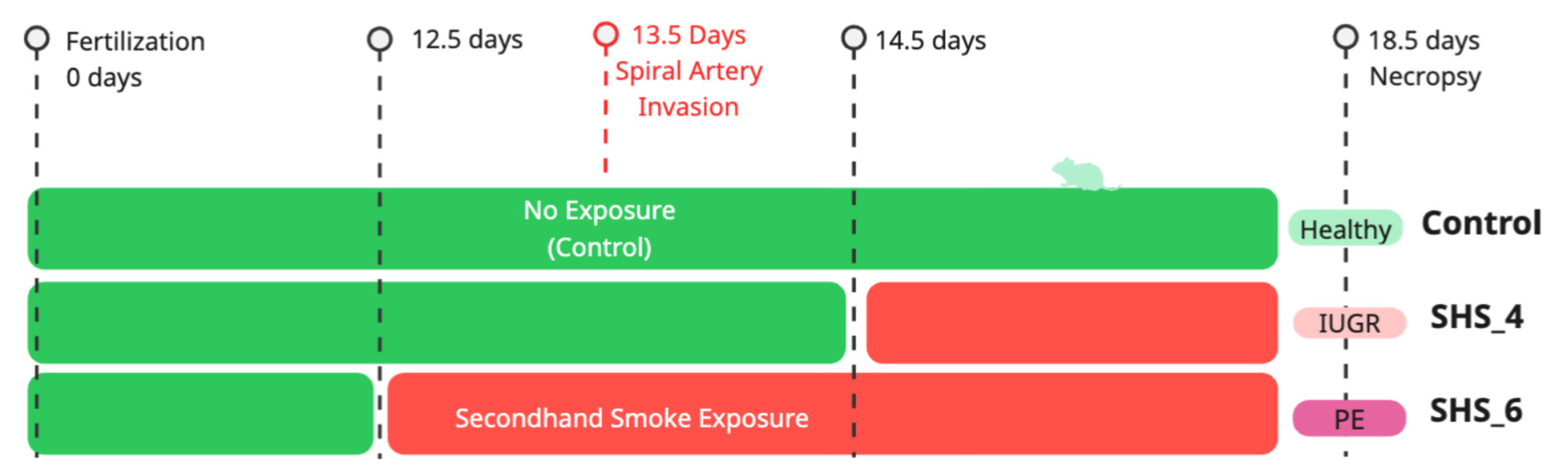 Cells 14 01735 g001 Cells 14 01735 g001