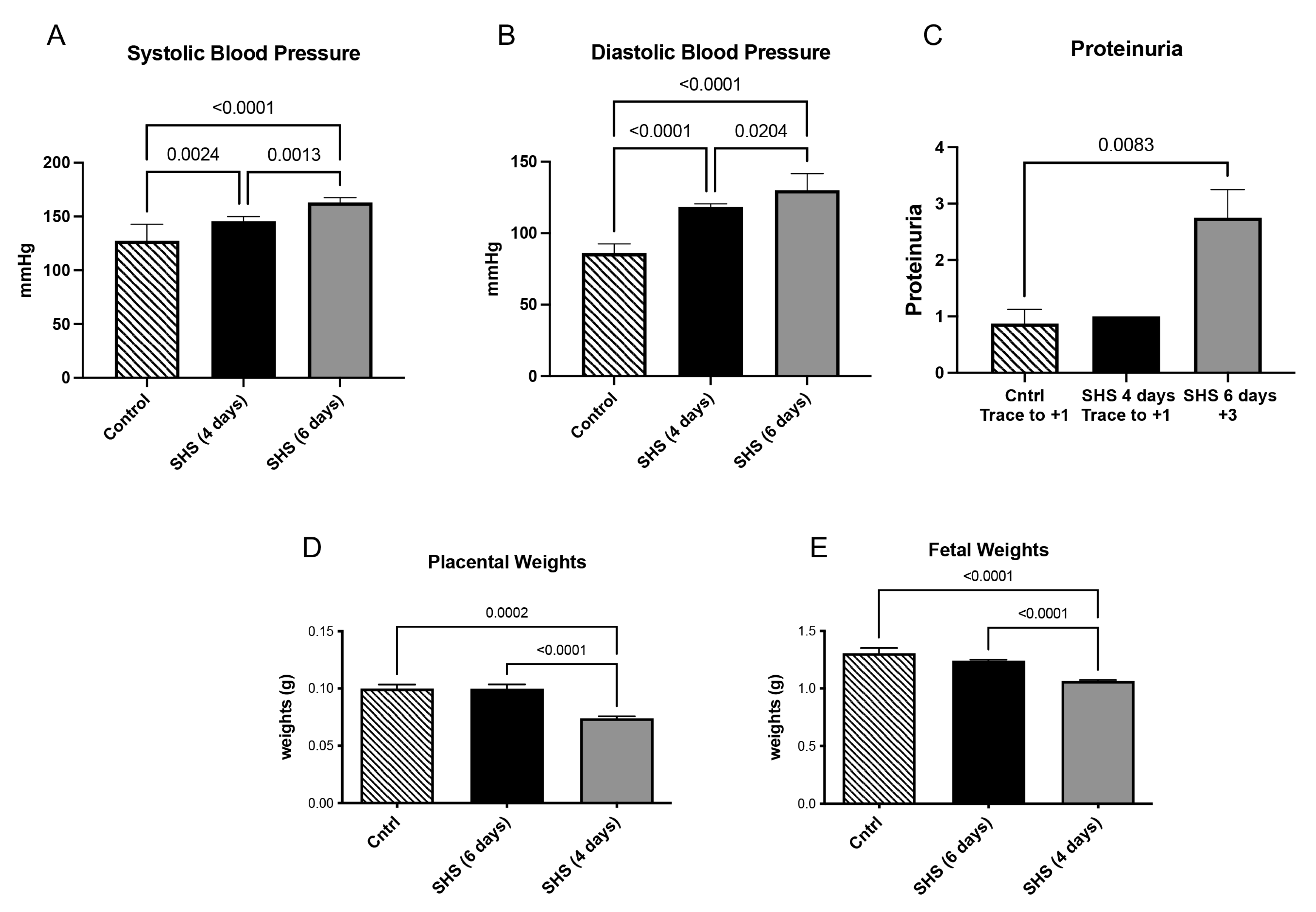 Cells 14 01735 g002 Cells 14 01735 g002