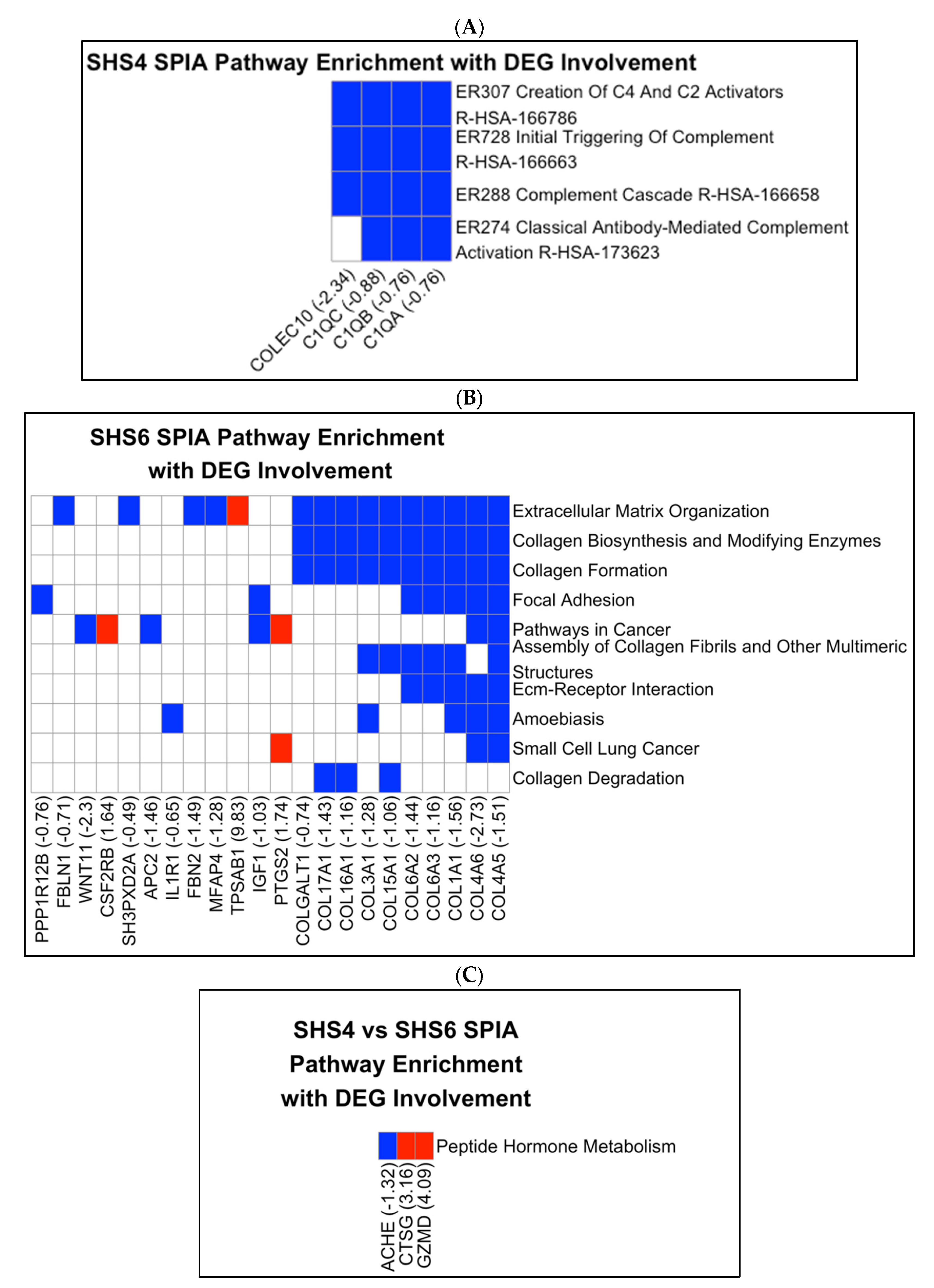 Cells 14 01735 g003 Cells 14 01735 g003