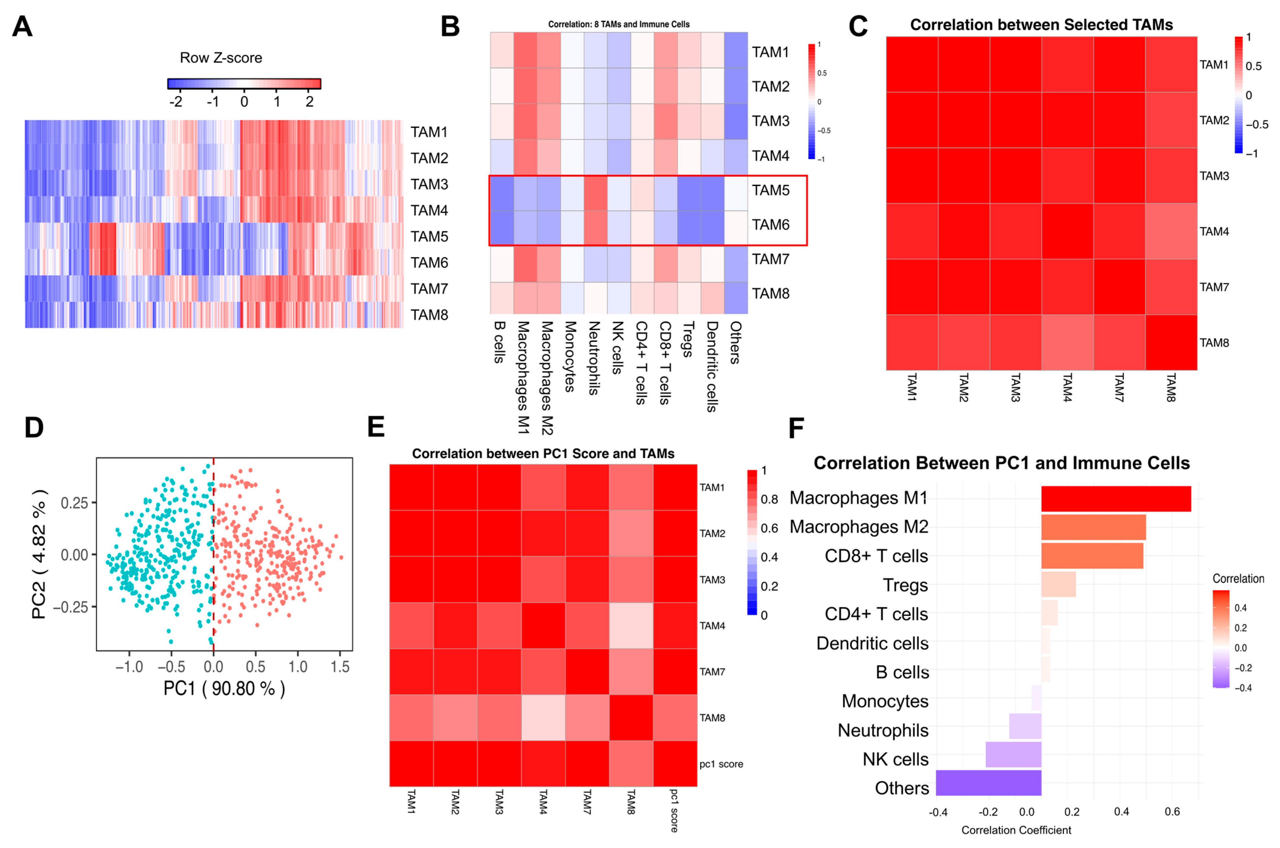 Cells 14 01740 g002 Cells 14 01740 g002