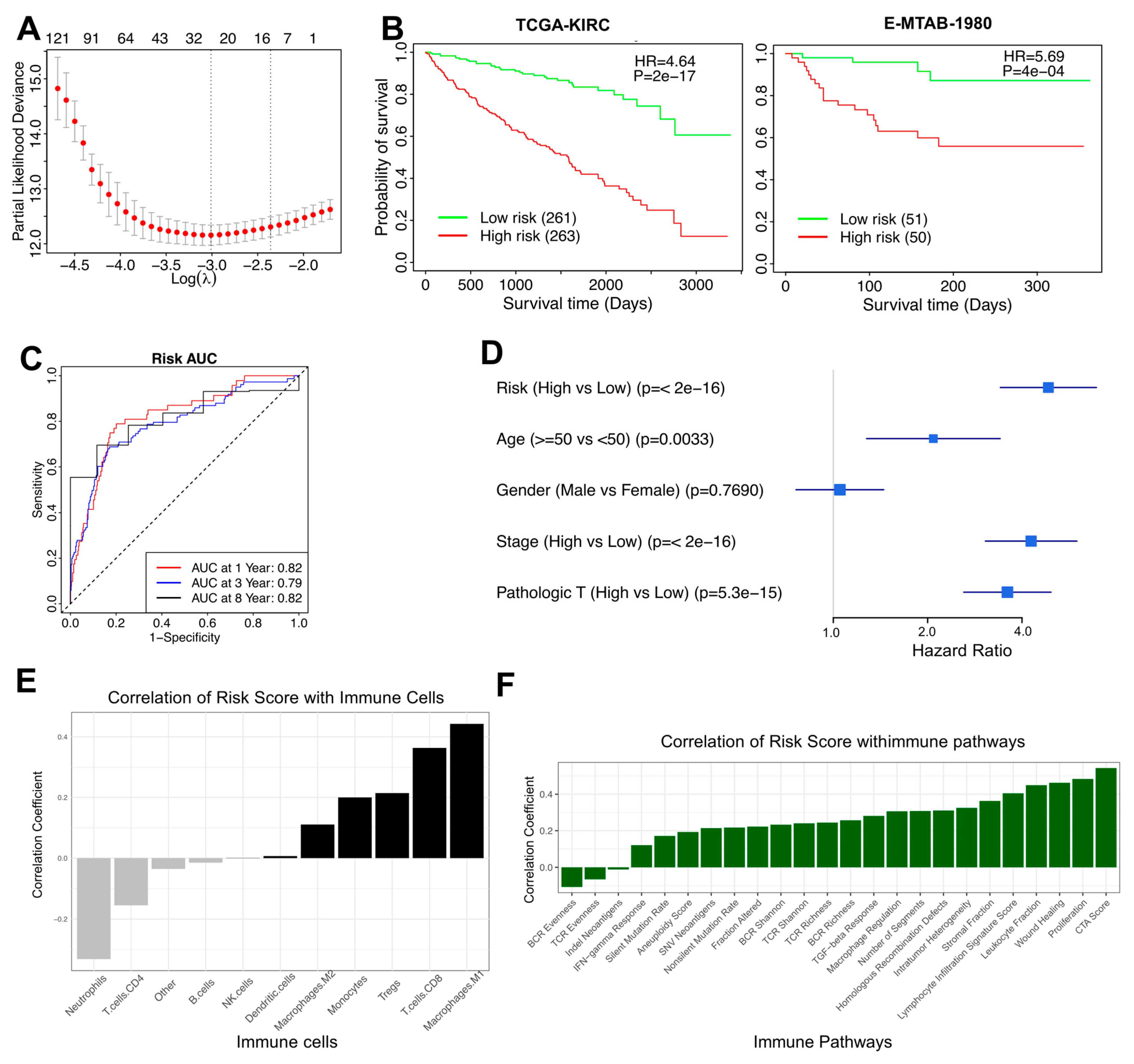 Cells 14 01740 g004 Cells 14 01740 g004