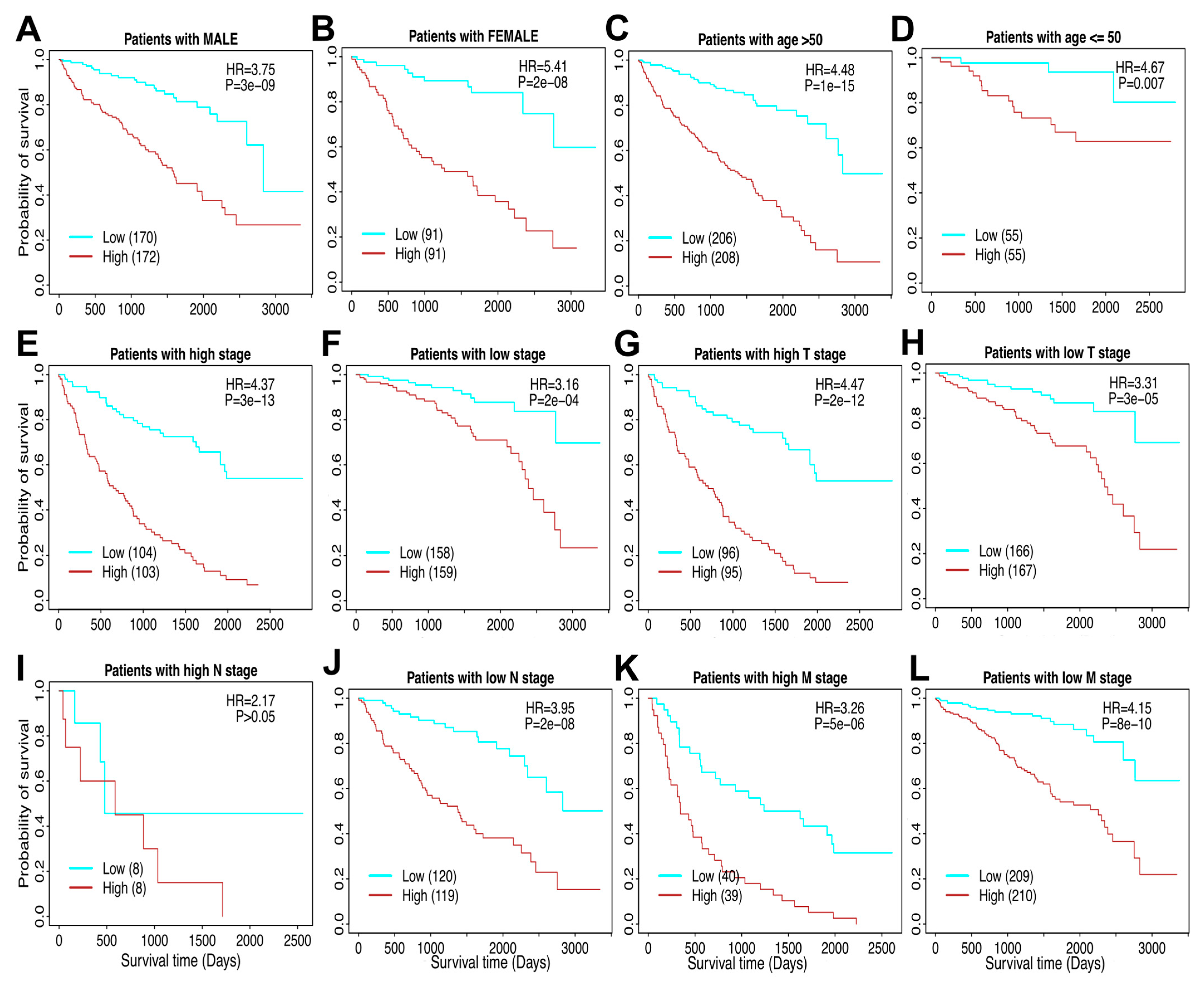 Cells 14 01740 g005 Cells 14 01740 g005