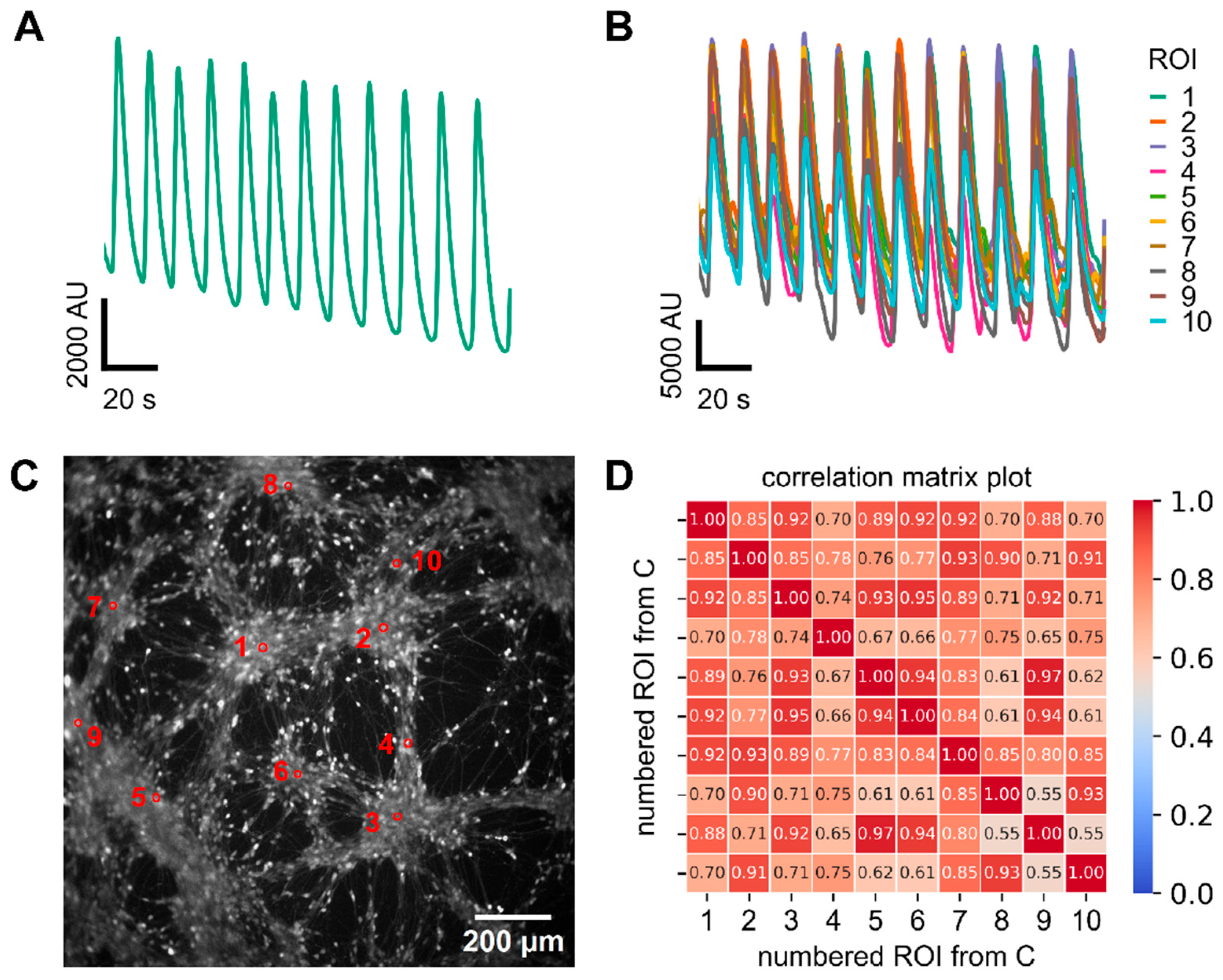 Cells 14 01744 g002 Cells 14 01744 g002