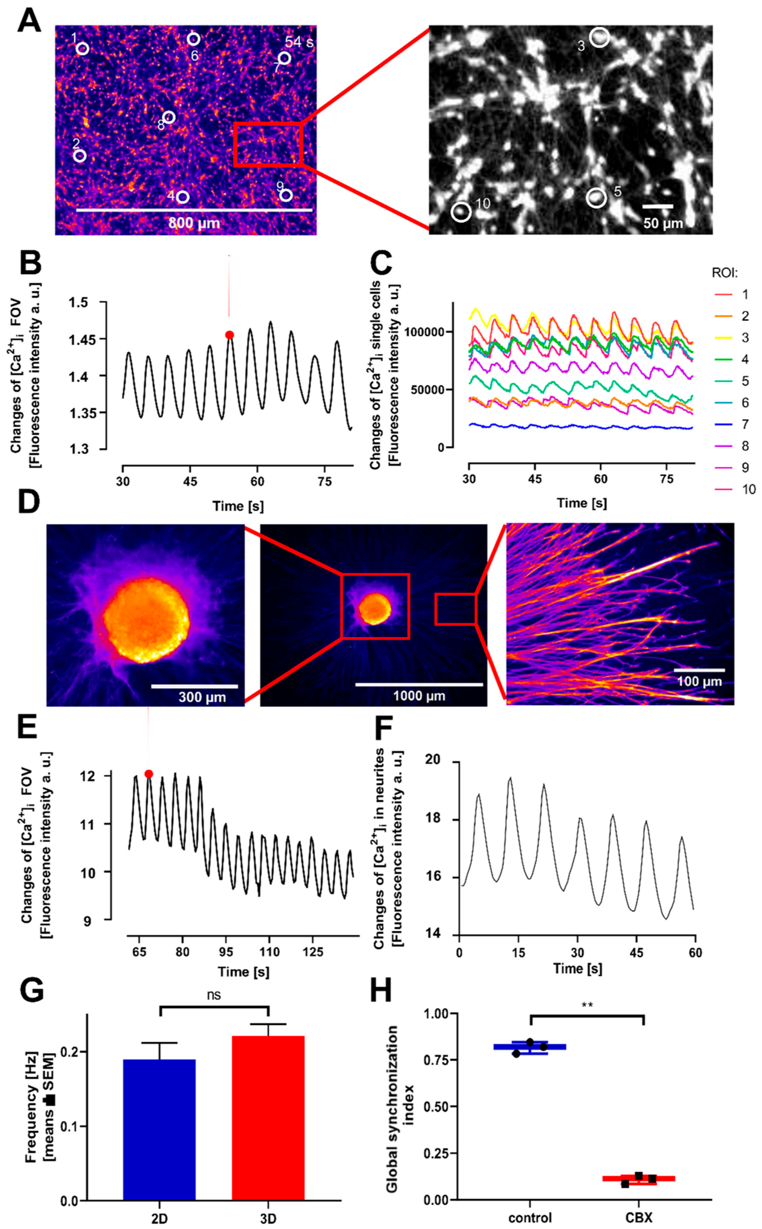 Cells 14 01744 g004 Cells 14 01744 g004