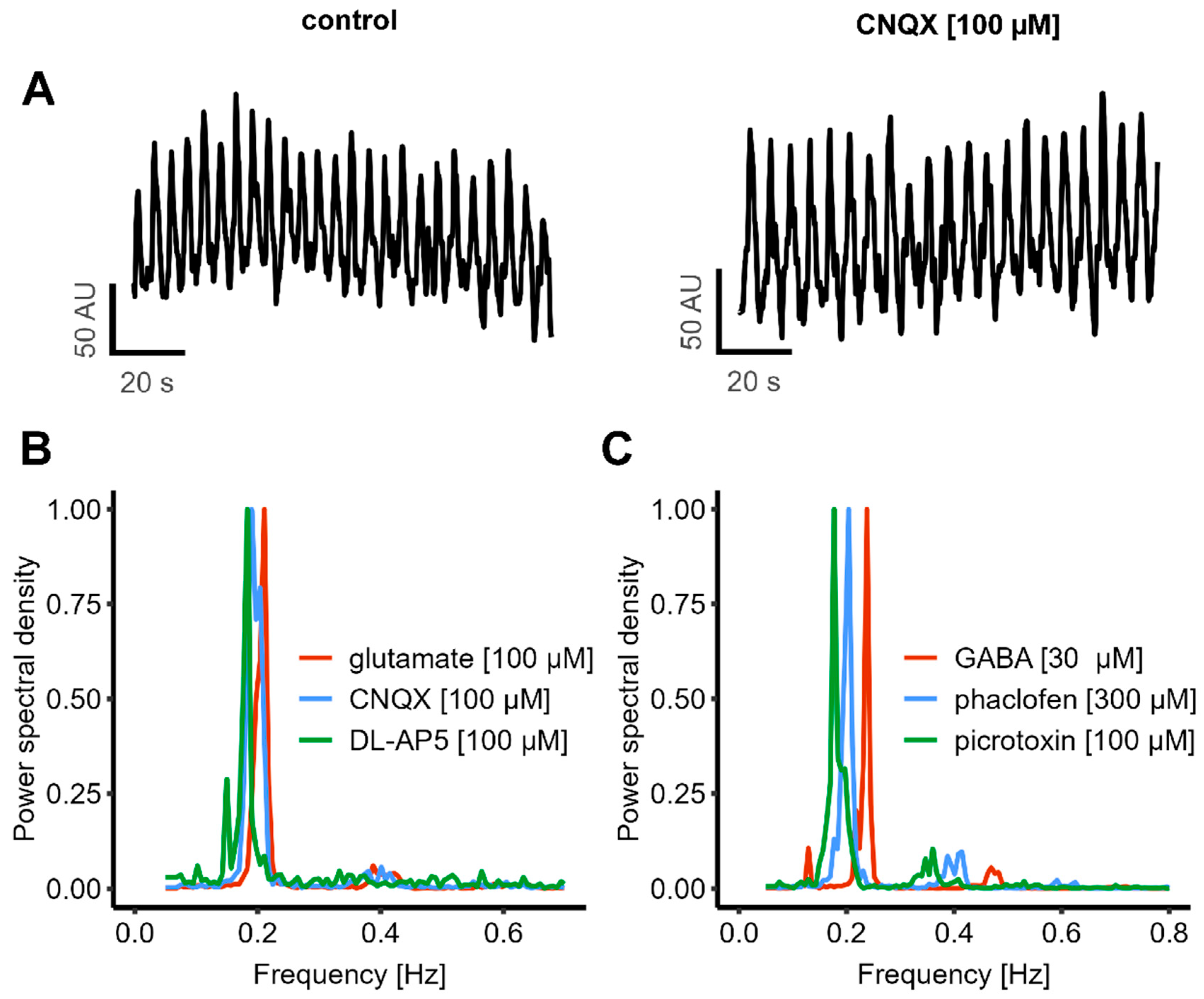 Cells 14 01744 g005 Cells 14 01744 g005