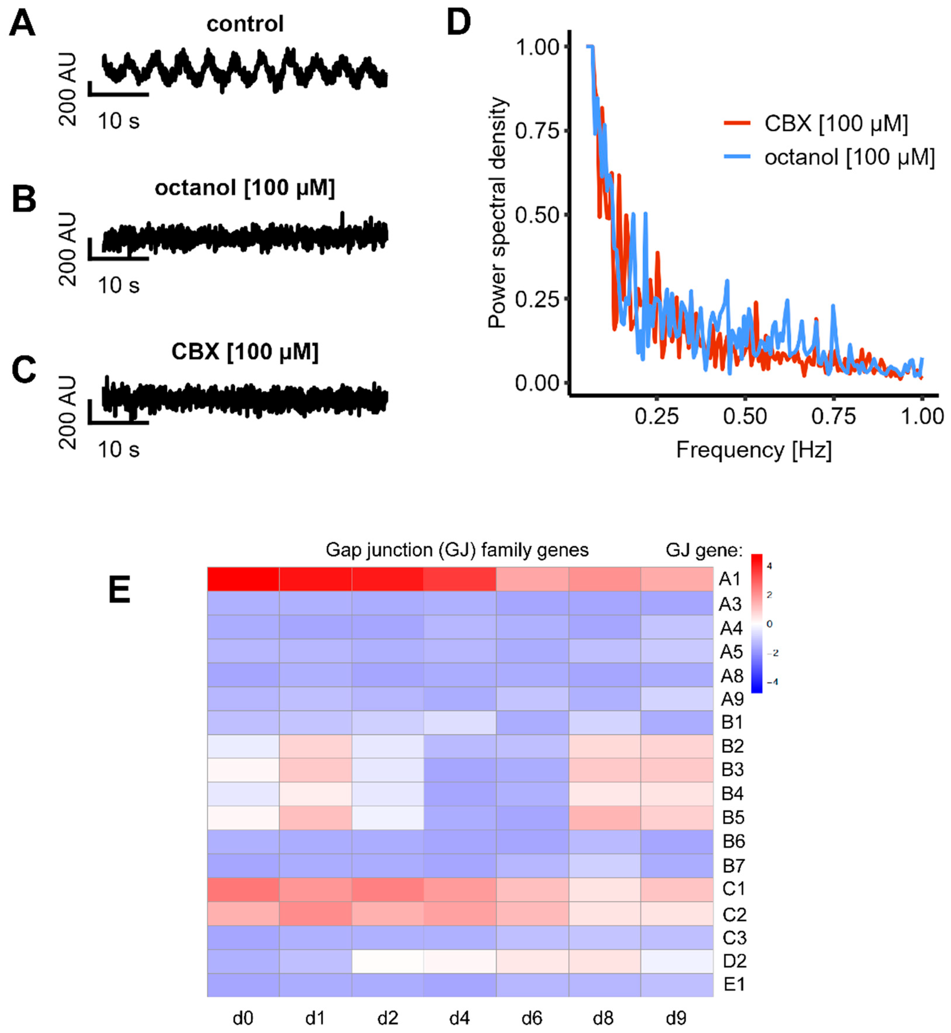 Cells 14 01744 g006 Cells 14 01744 g006