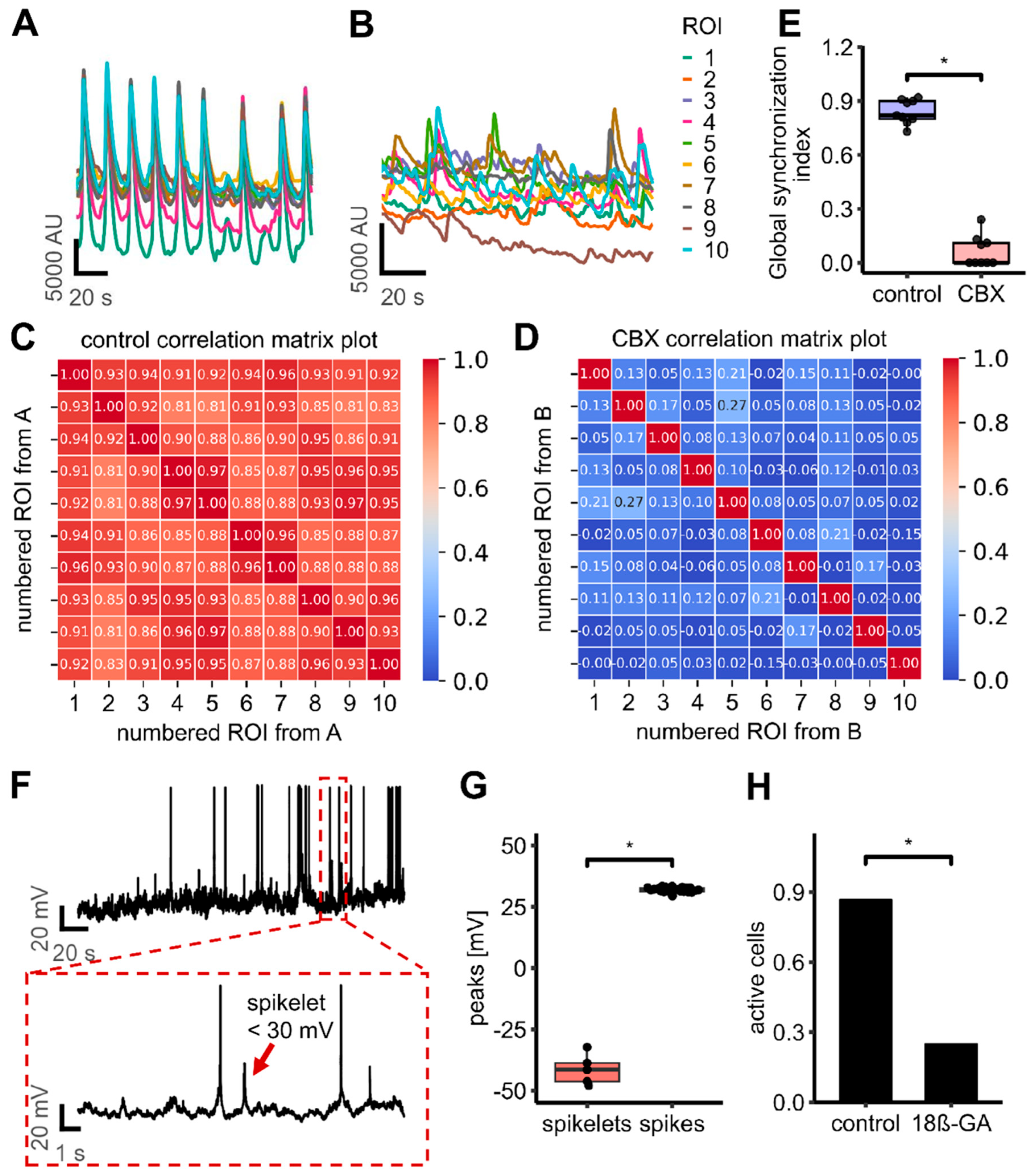 Cells 14 01744 g009 Cells 14 01744 g009