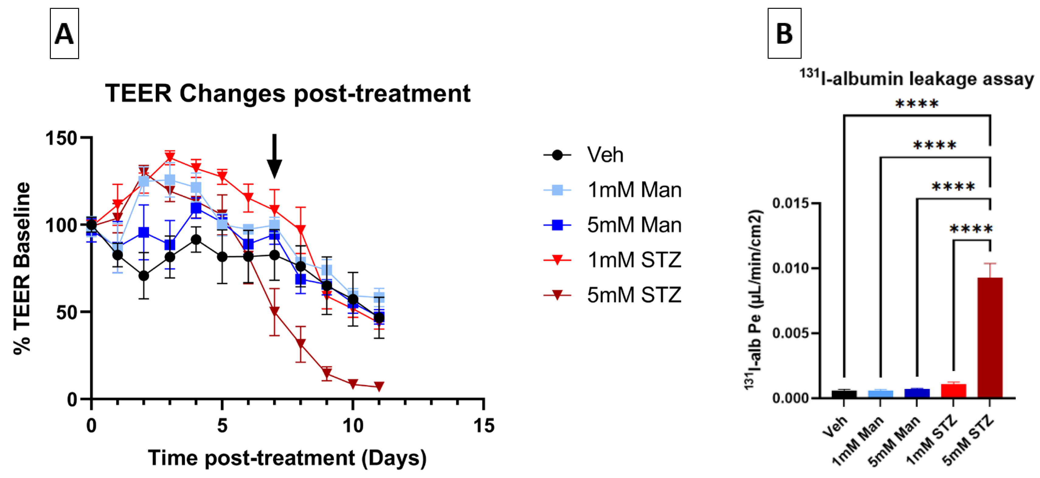 Cells 14 01745 g002 Cells 14 01745 g002