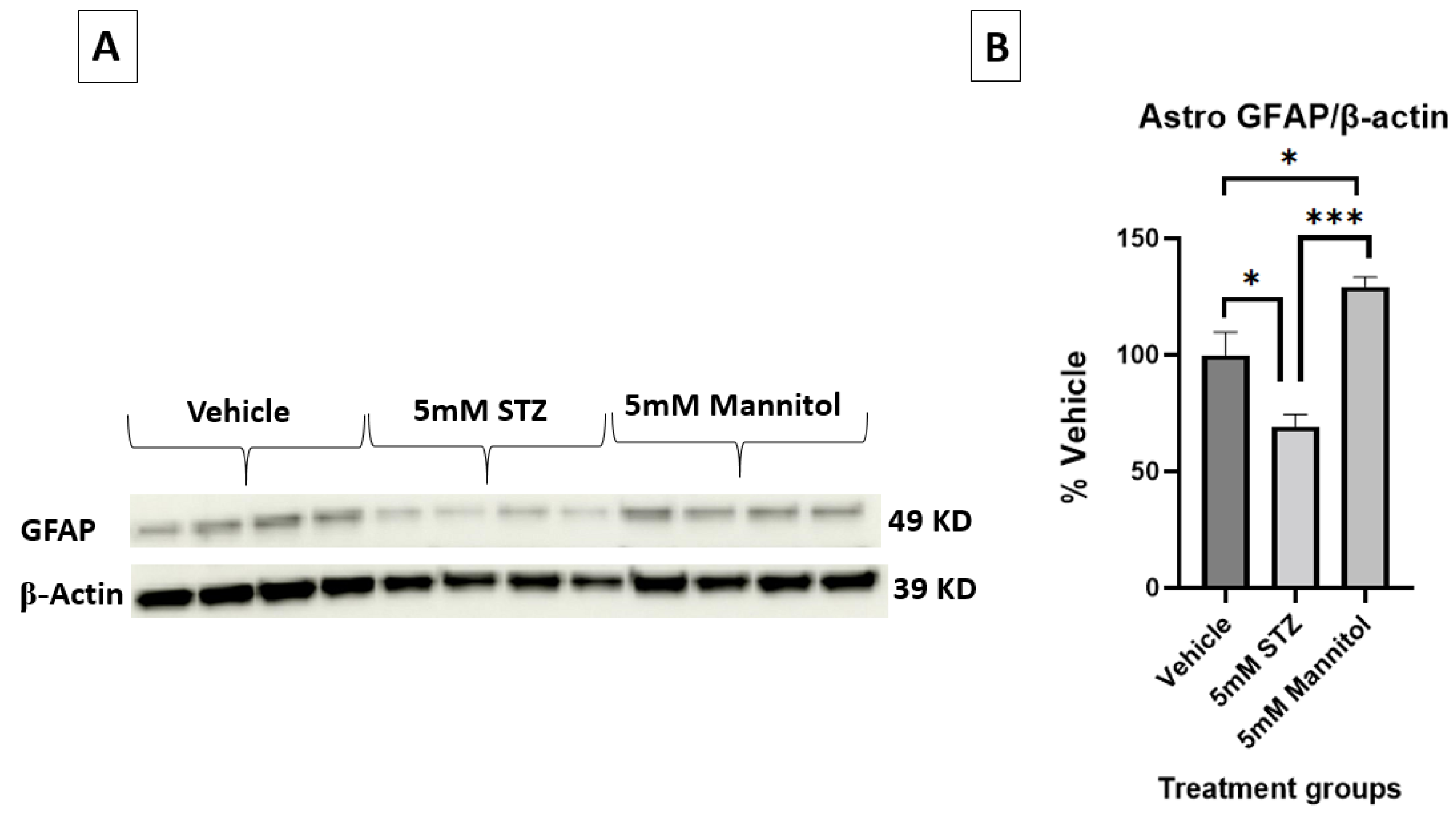 Cells 14 01745 g006 Cells 14 01745 g006