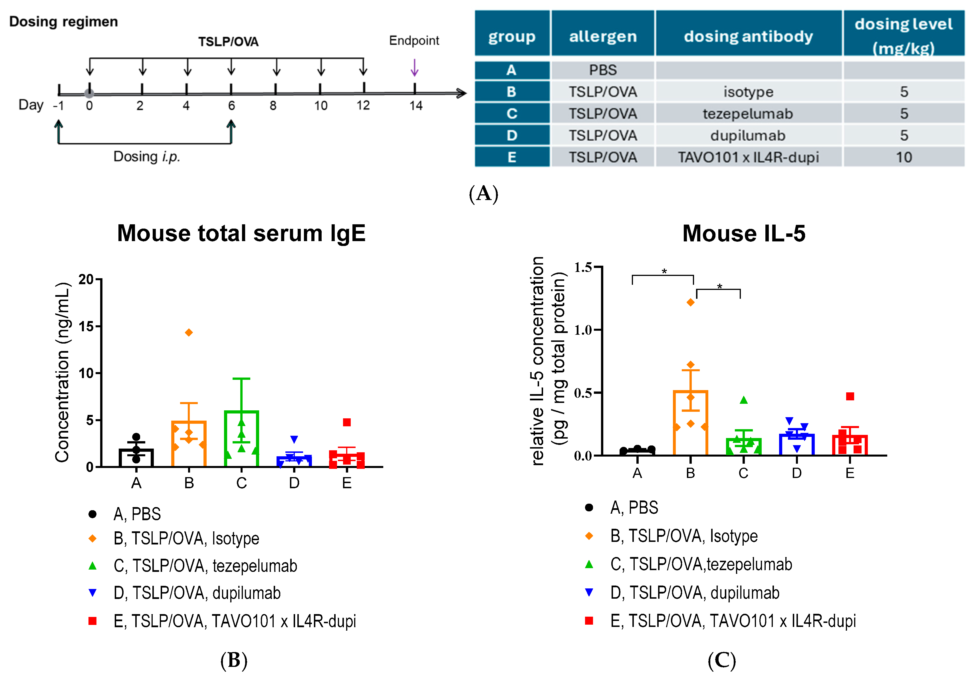 Cells 14 01747 g006a