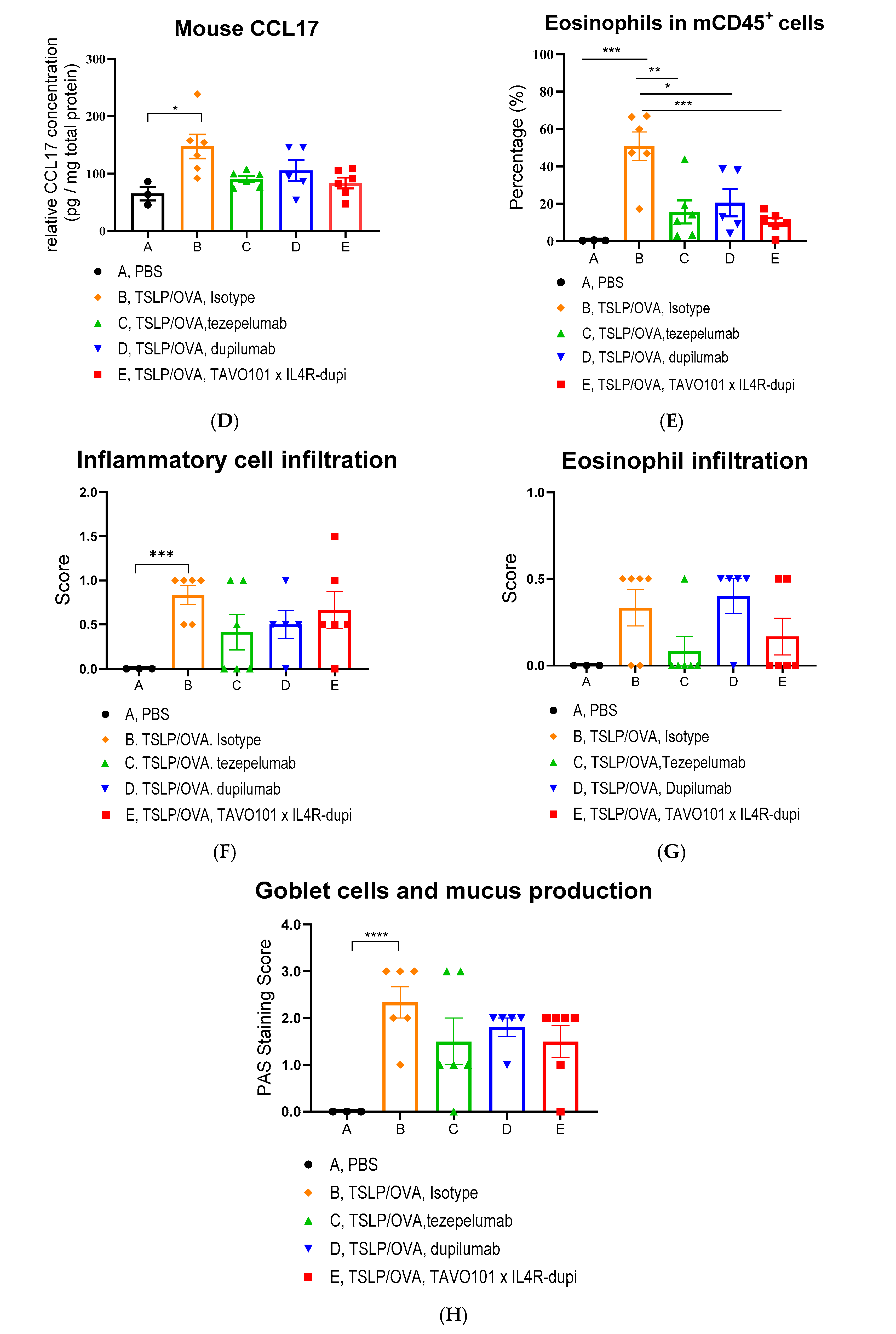 Cells 14 01747 g006b