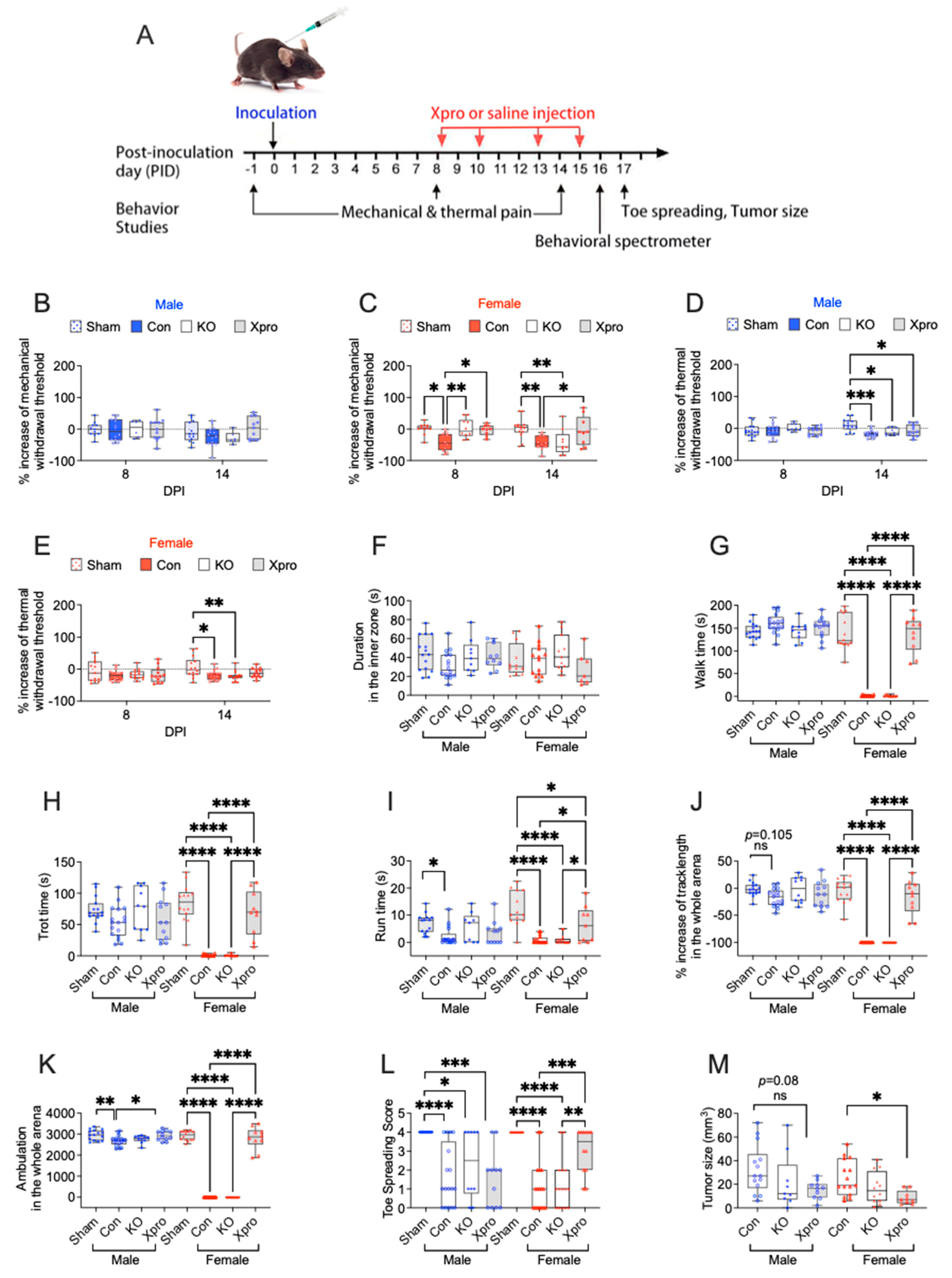 Cells 14 01749 g002 Cells 14 01749 g002