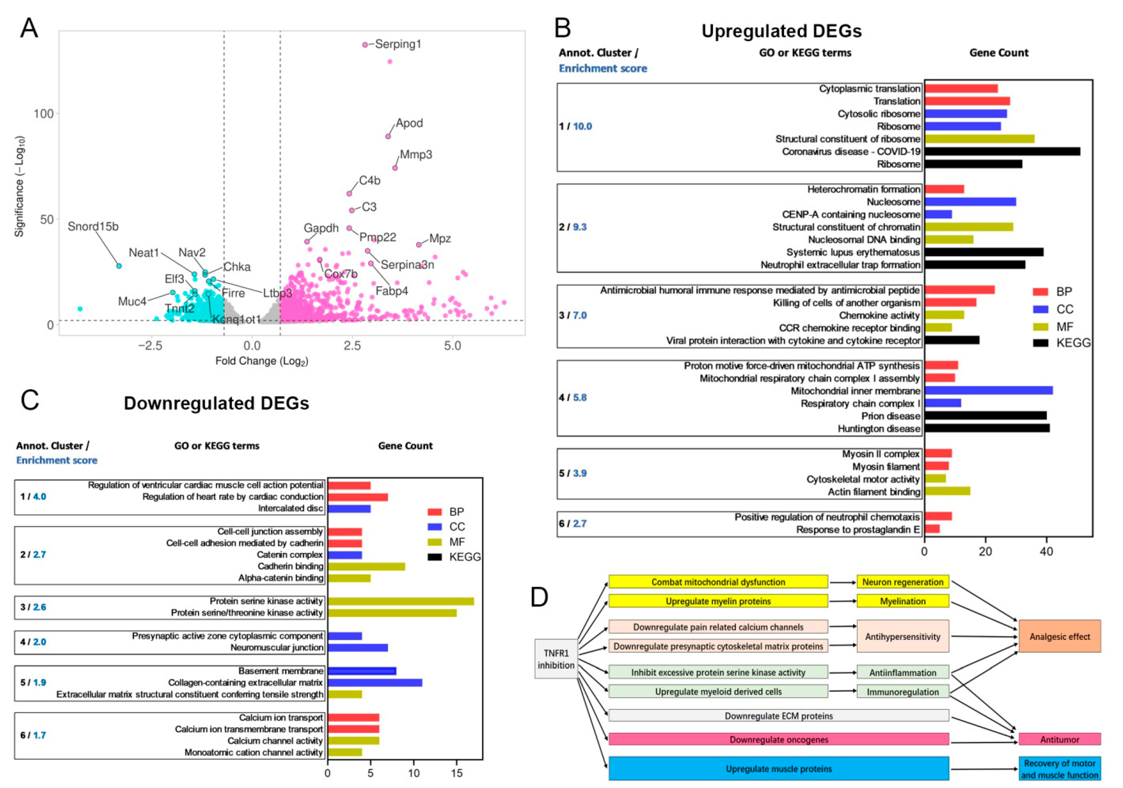 Cells 14 01749 g005 Cells 14 01749 g005