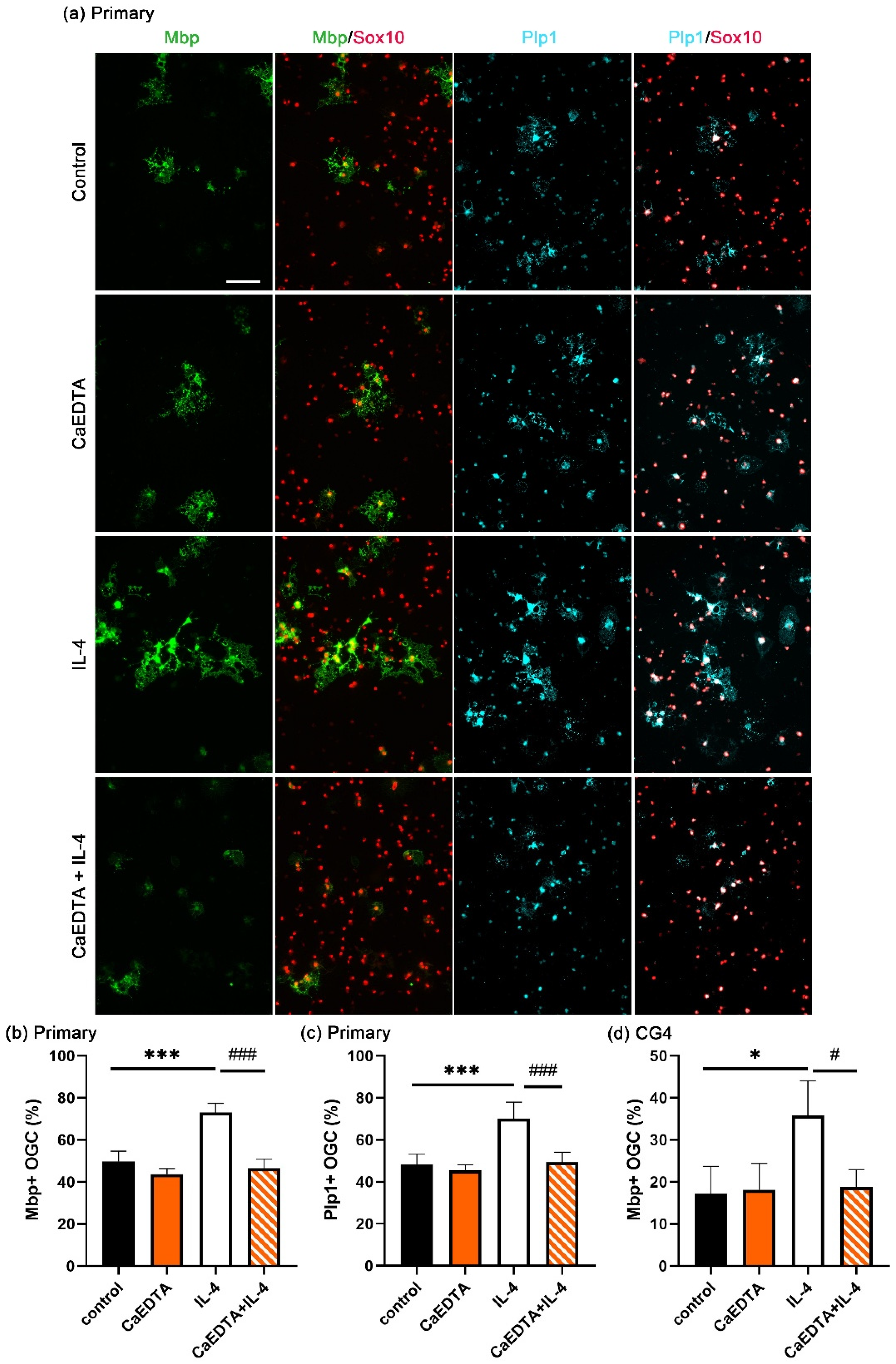 Cells 14 01756 g003 Cells 14 01756 g003